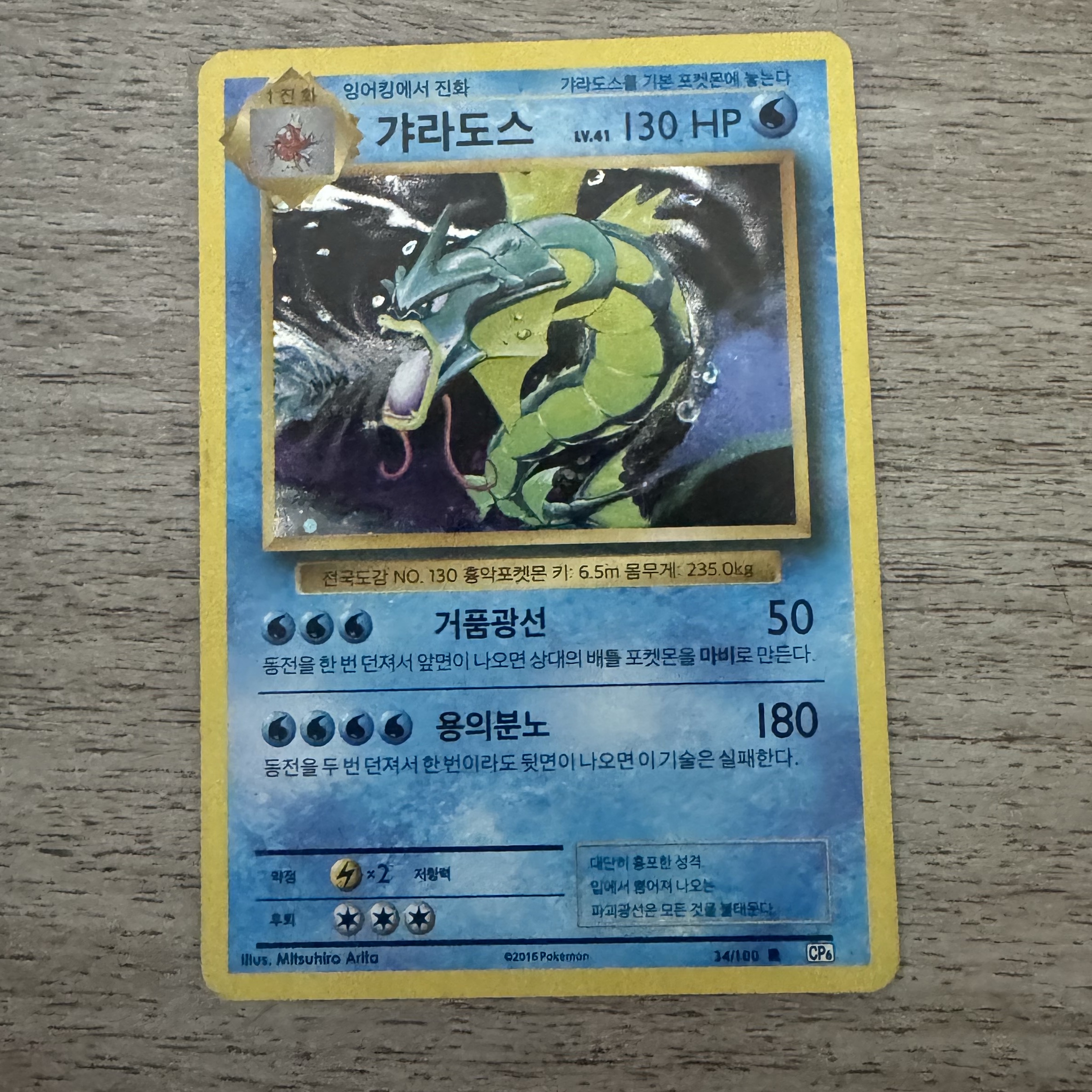 Pokemon TCG Gyarados R 20th Anniversary (Korean Ver.) 착용 스타일