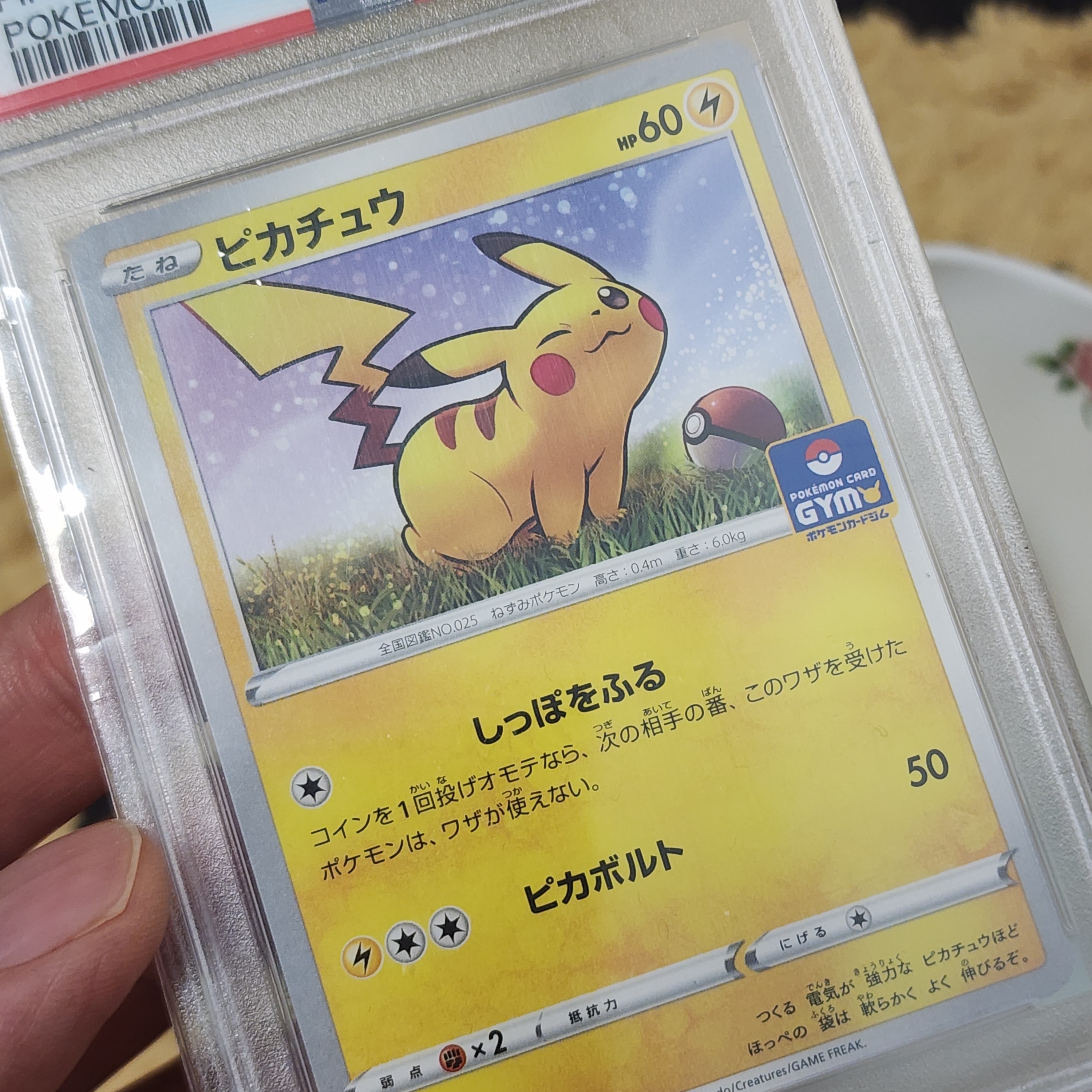 Pokemon TCG Pikachu P Sword & Shield Promos (Japanese Ver.) 착용 스타일
