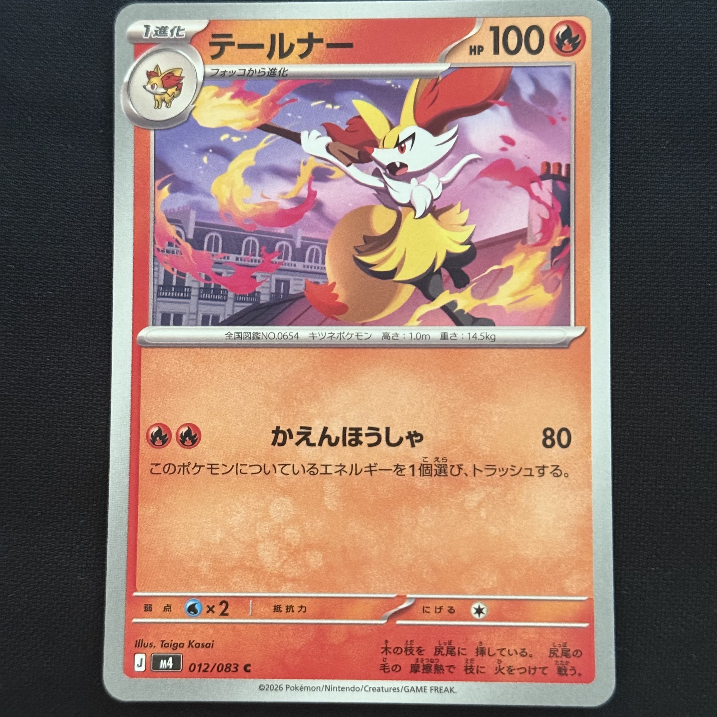 Pokemon TCG Braixen C Ninja Spinner (Japanese Ver.) 착용 스타일