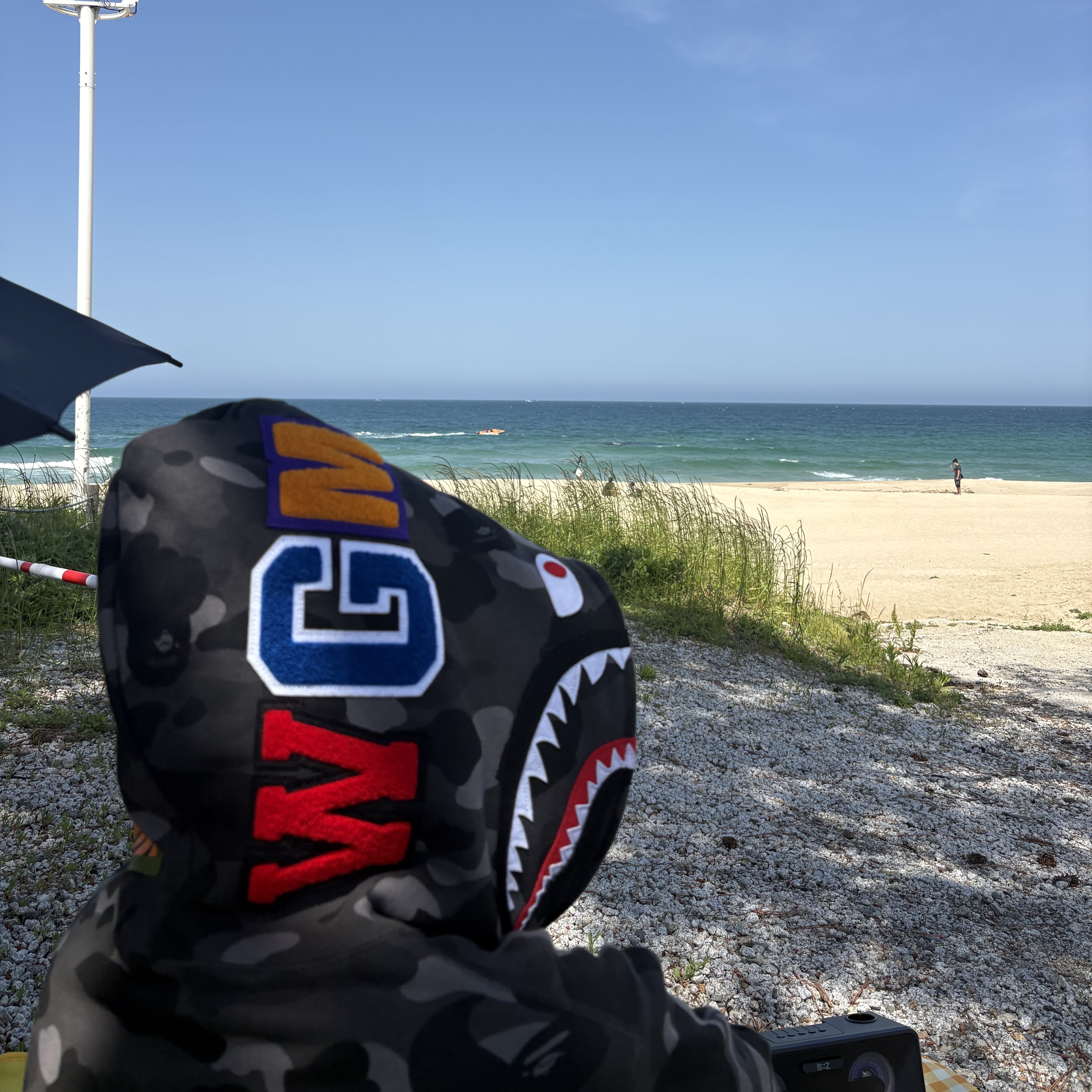 BAPE Color Camo Shark Full Zip Hoodie Black 착용 스타일