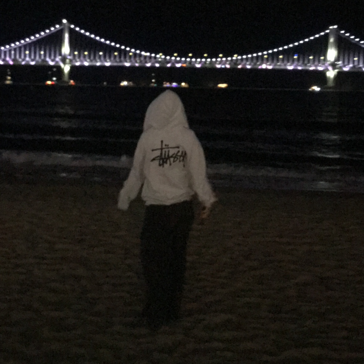 Stussy Basic Stussy Zip Hoodie Ash Heather 착용 스타일 - 2