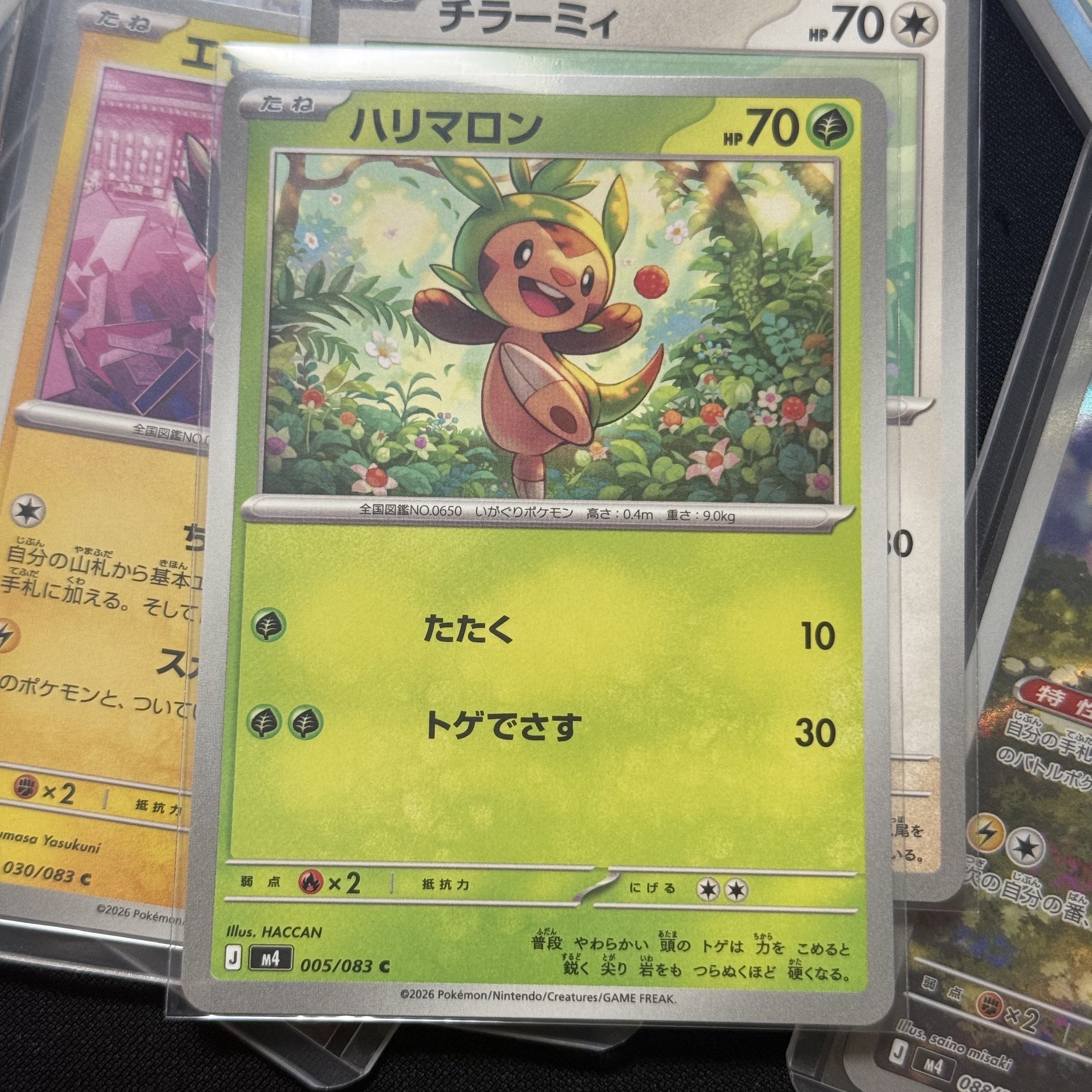 Pokemon TCG Chespin C Ninja Spinner (Japanese Ver.) 착용 스타일