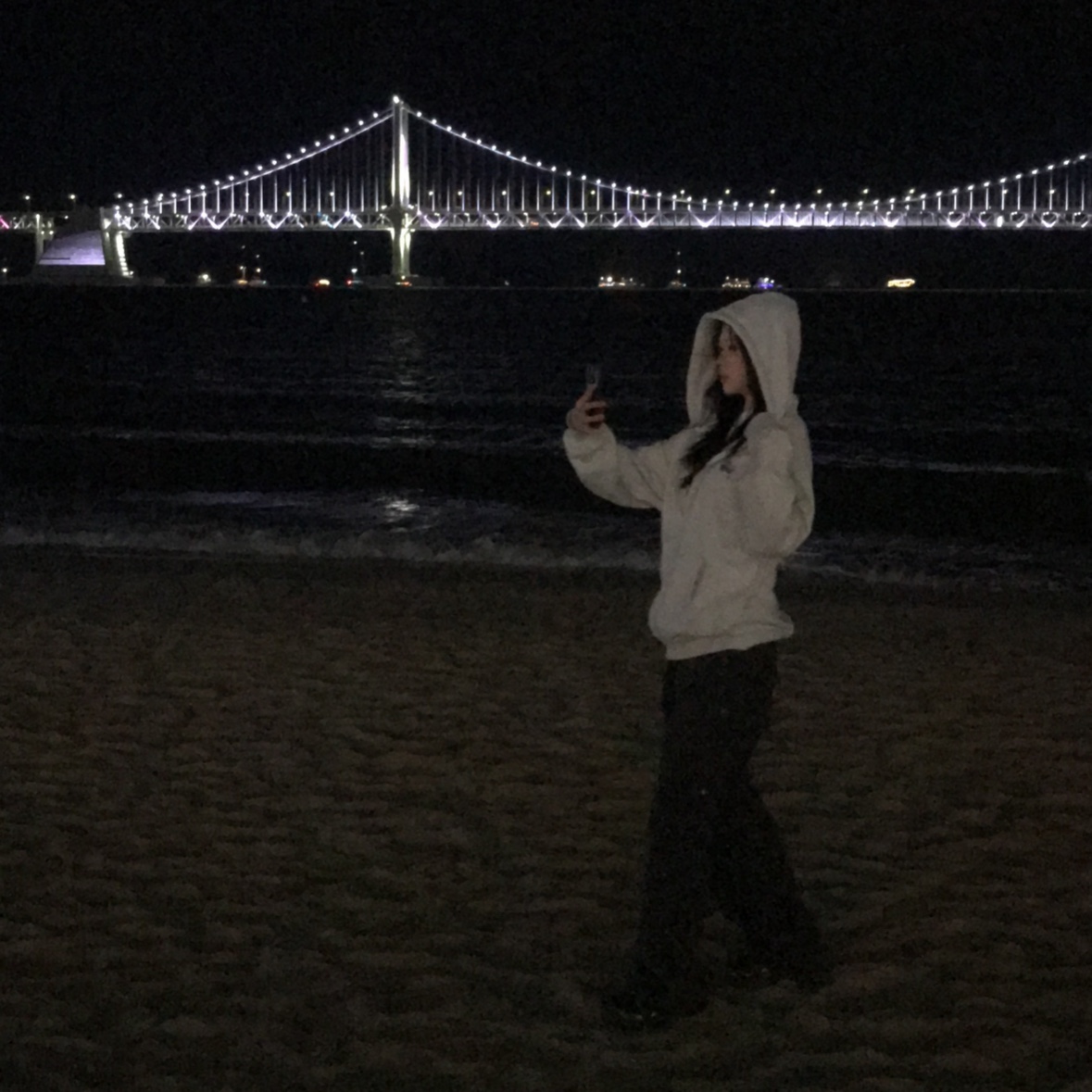 Stussy Basic Stussy Zip Hoodie Ash Heather 착용 스타일 - 1