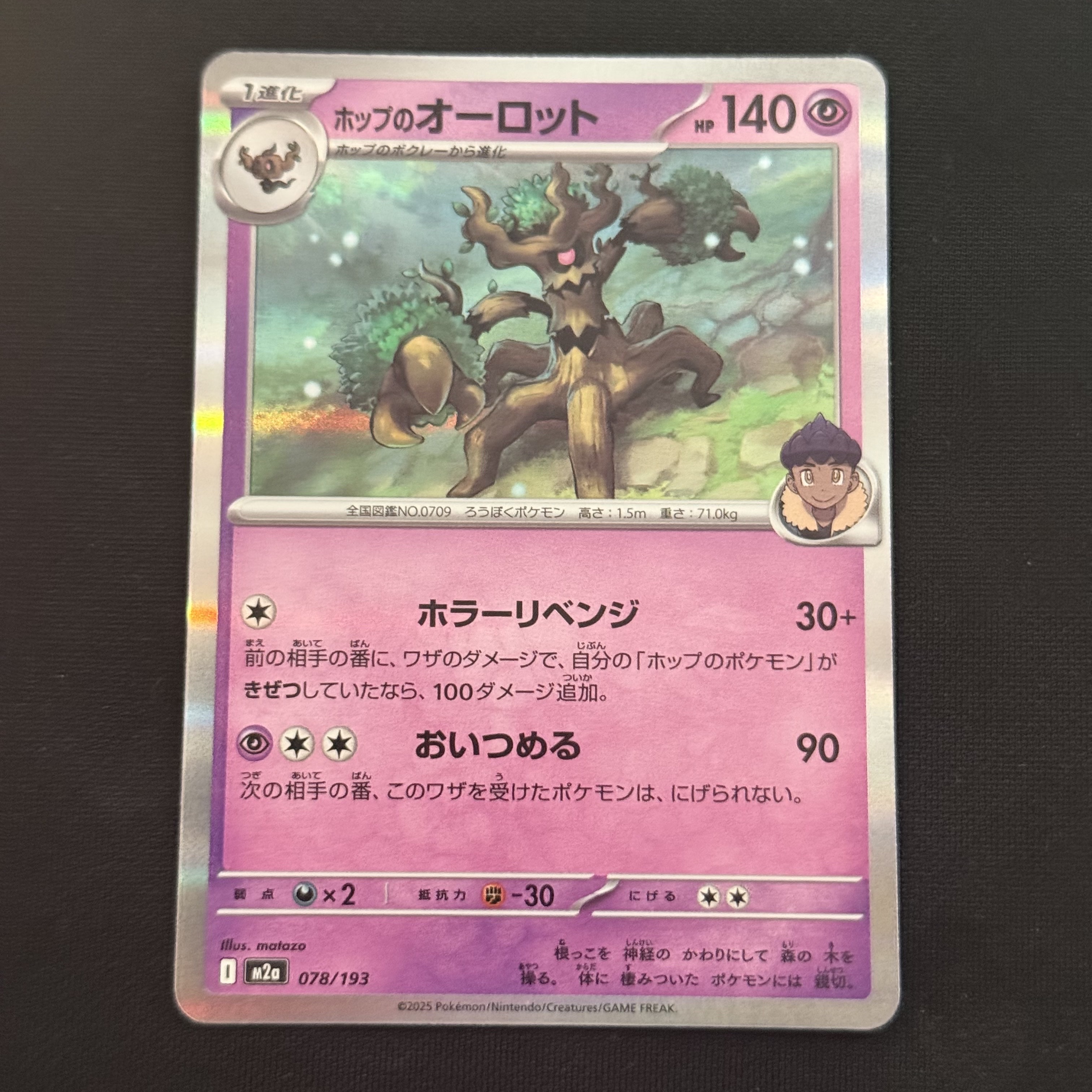 Pokemon TCG Hop's Trevenant Mega Dream ex (Japanese Ver.) 착용 스타일