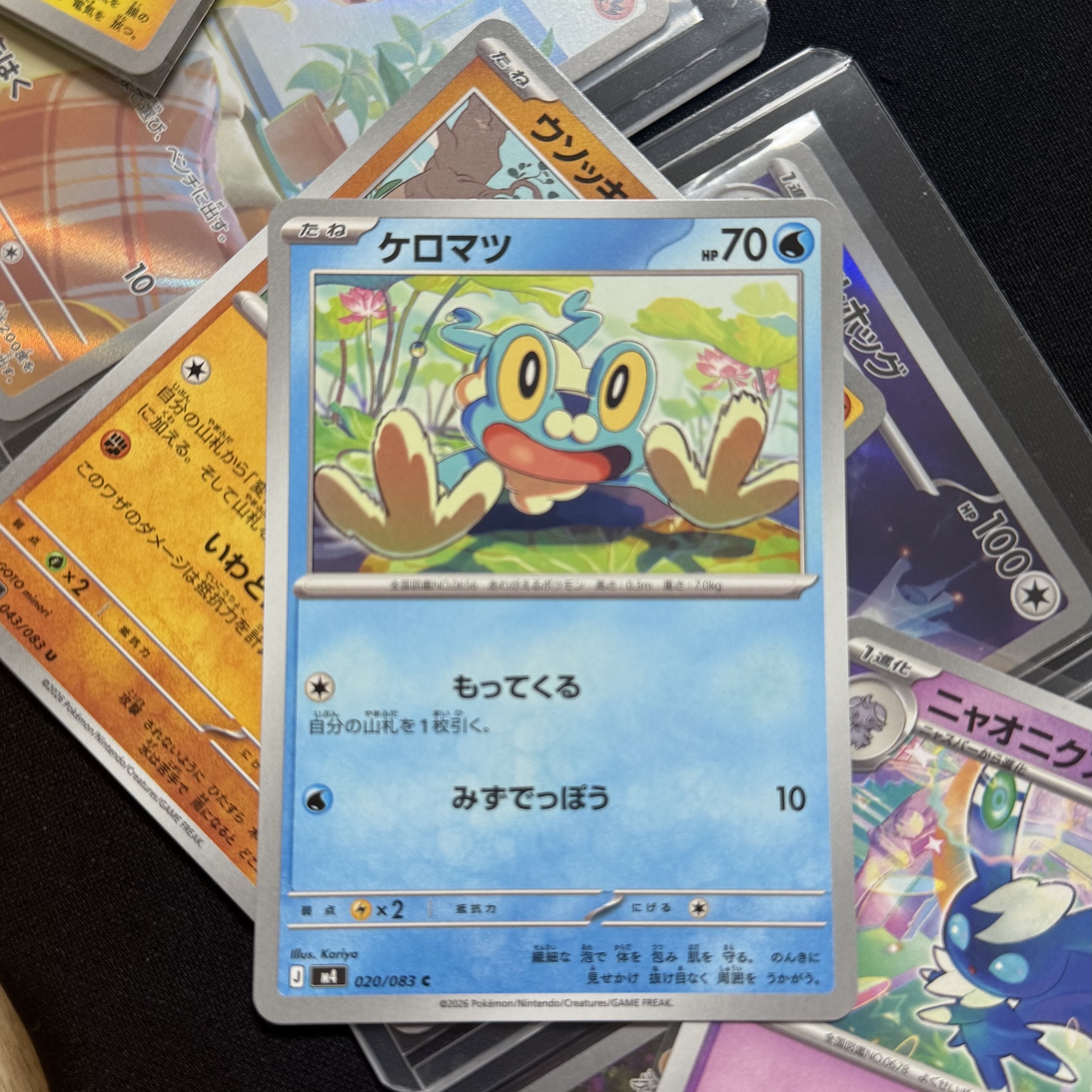 Pokemon TCG Froakie C Ninja Spinner (Japanese Ver.) 착용 스타일