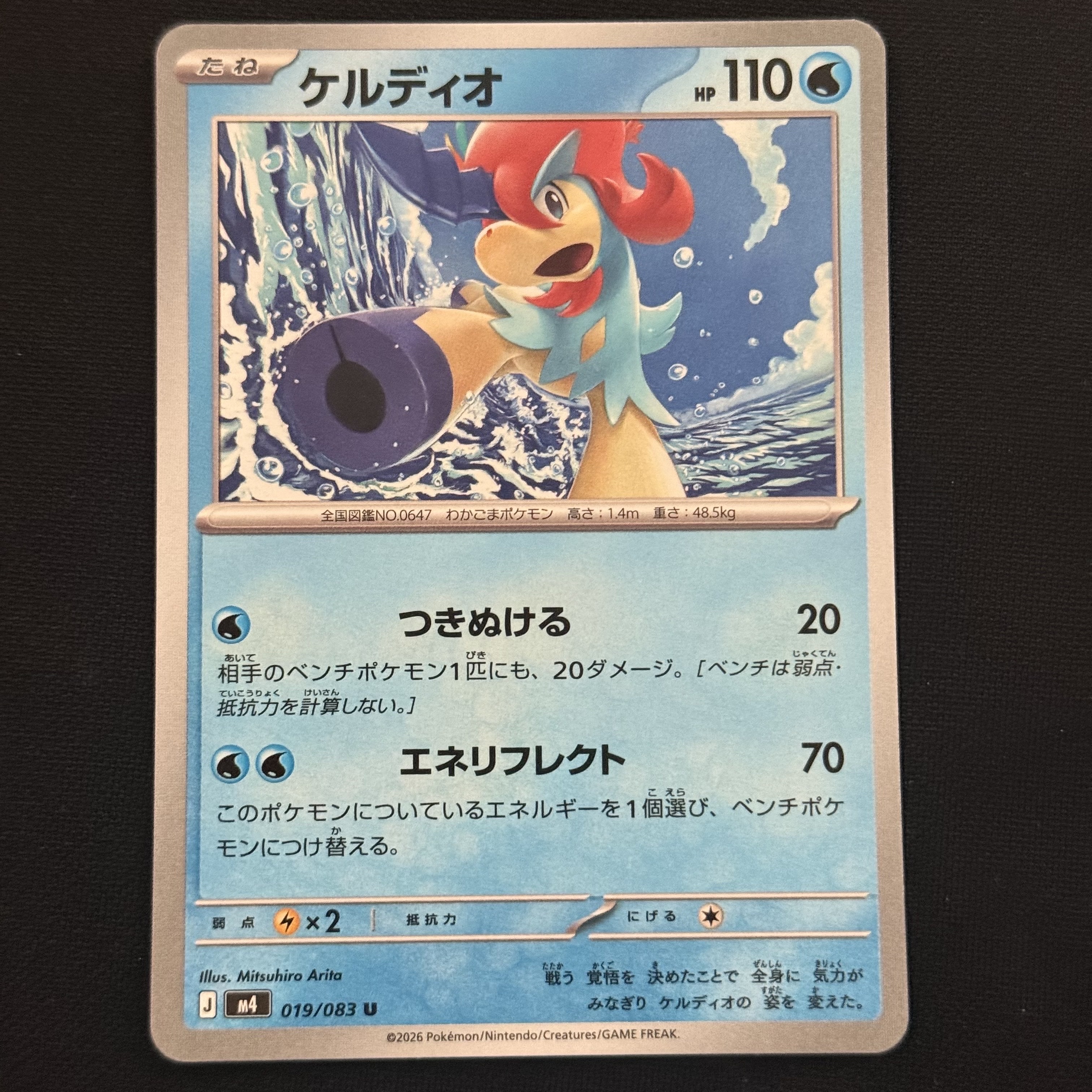 Pokemon TCG Keldeo U Ninja Spinner (Japanese Ver.) 착용 스타일