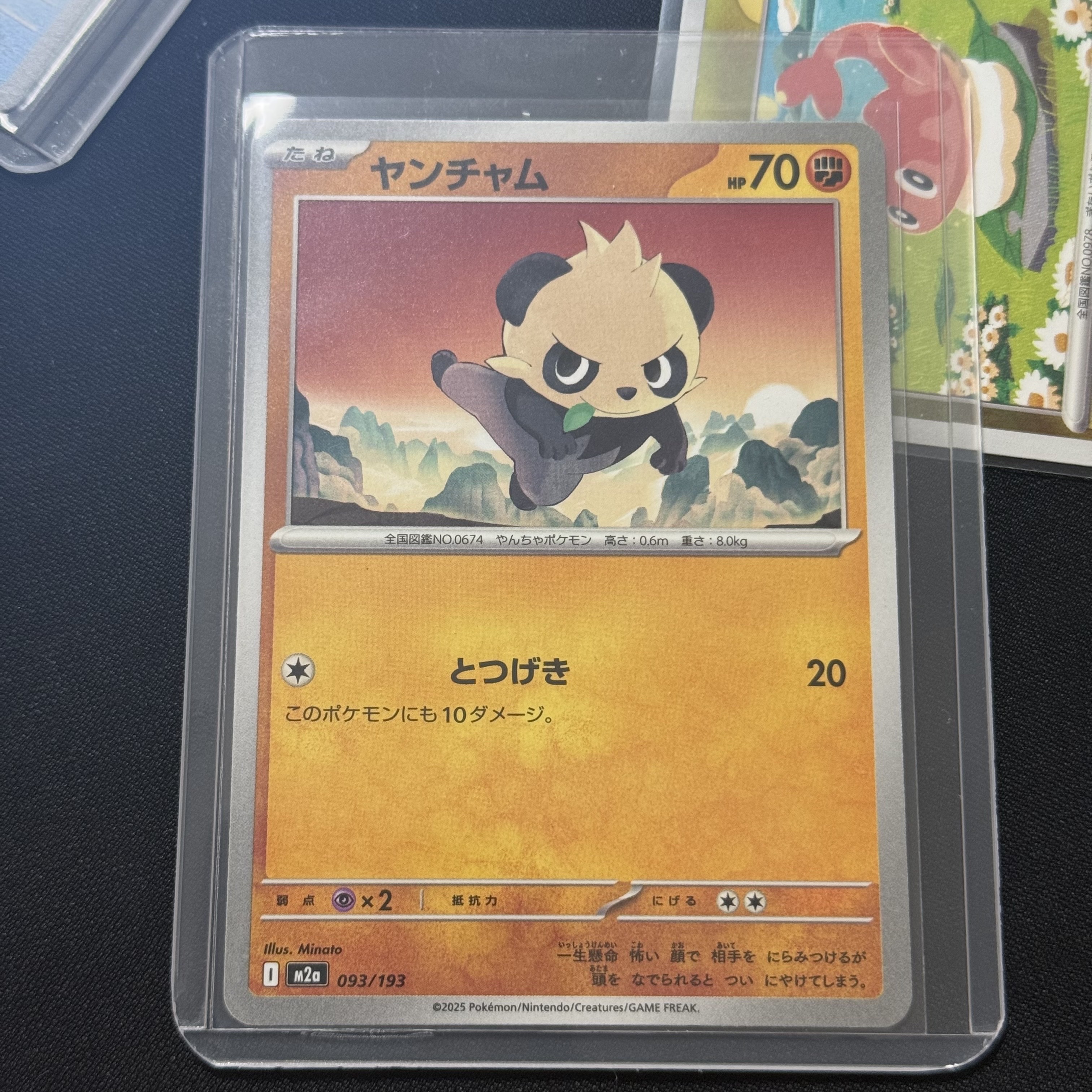 Pokemon TCG Pancham Mega Dream ex (Japanese Ver.) 착용 스타일