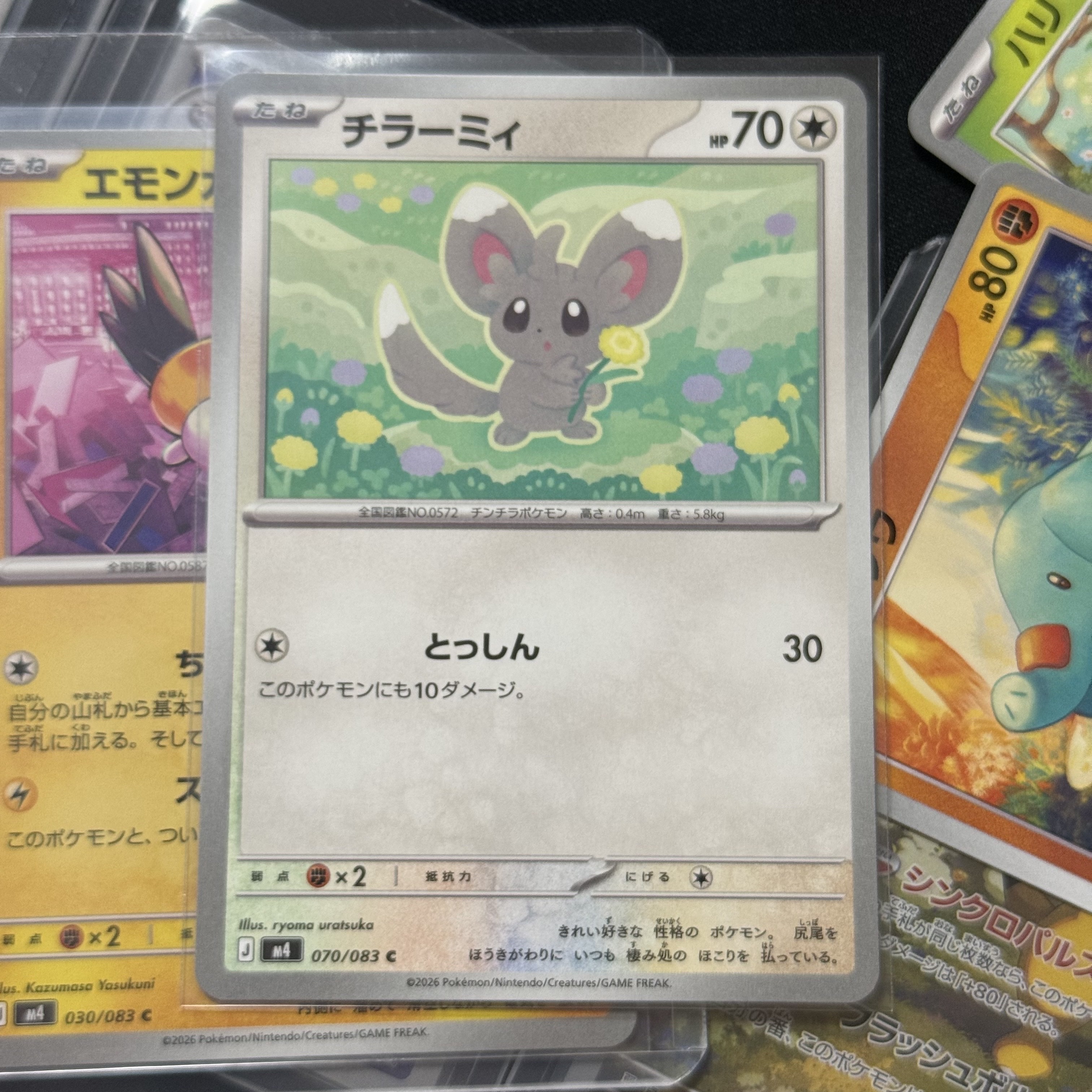 Pokemon TCG Minccino C Ninja Spinner (Japanese Ver.) 착용 스타일
