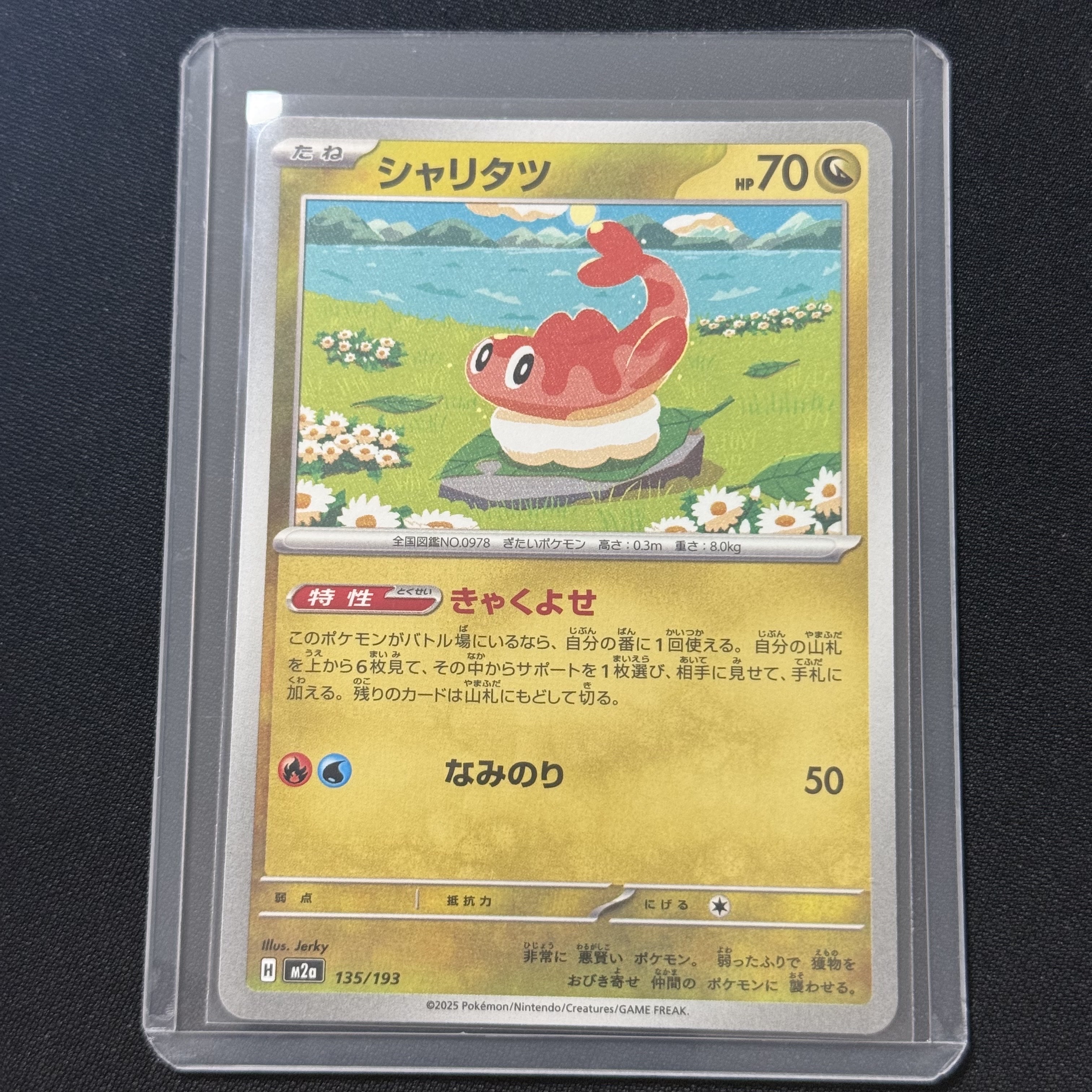 Pokemon TCG Tatsugiri Mega Gengar ex Starter Set Mega (Japanese Ver.) 착용 스타일