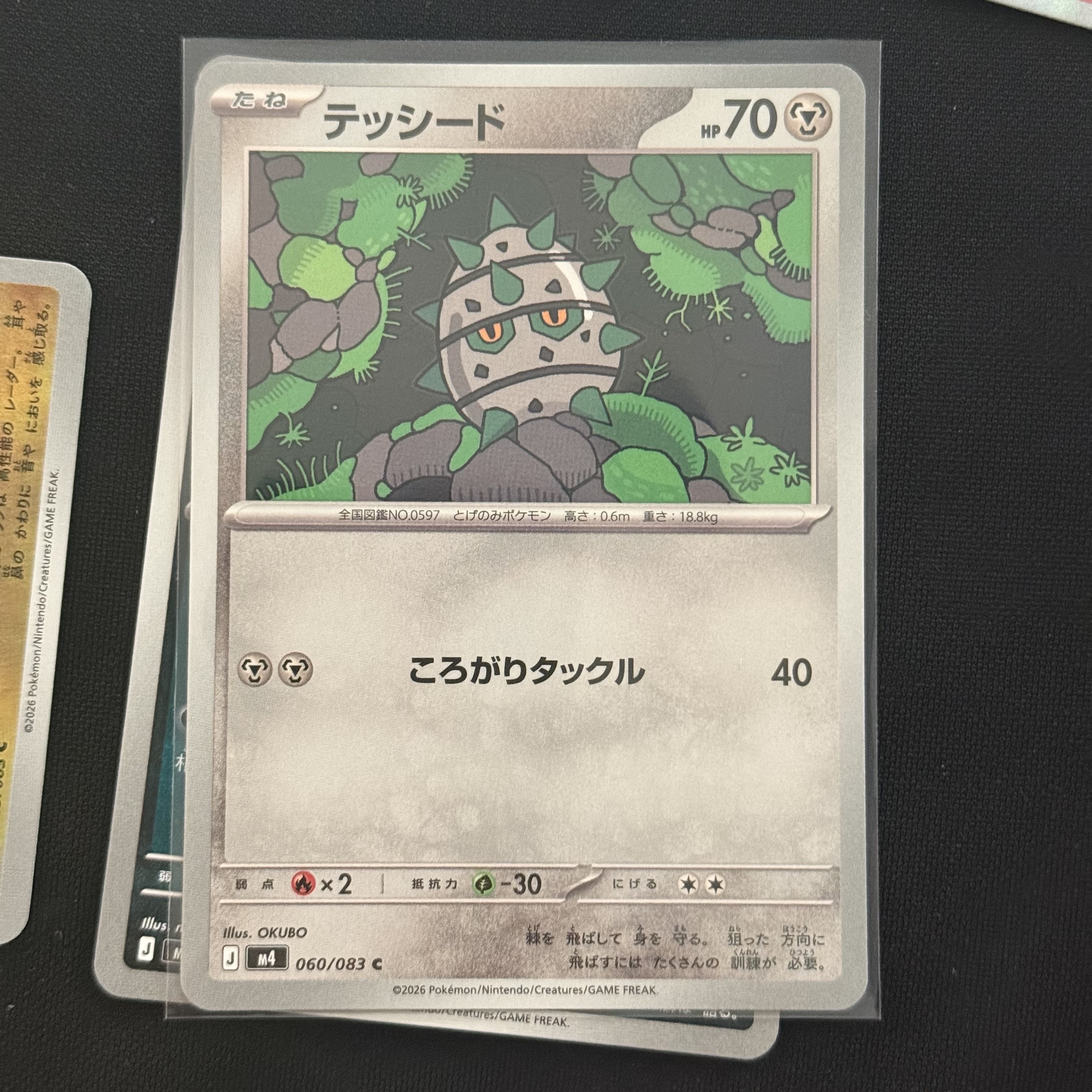Pokemon TCG Ferroseed C Ninja Spinner (Japanese Ver.) 착용 스타일