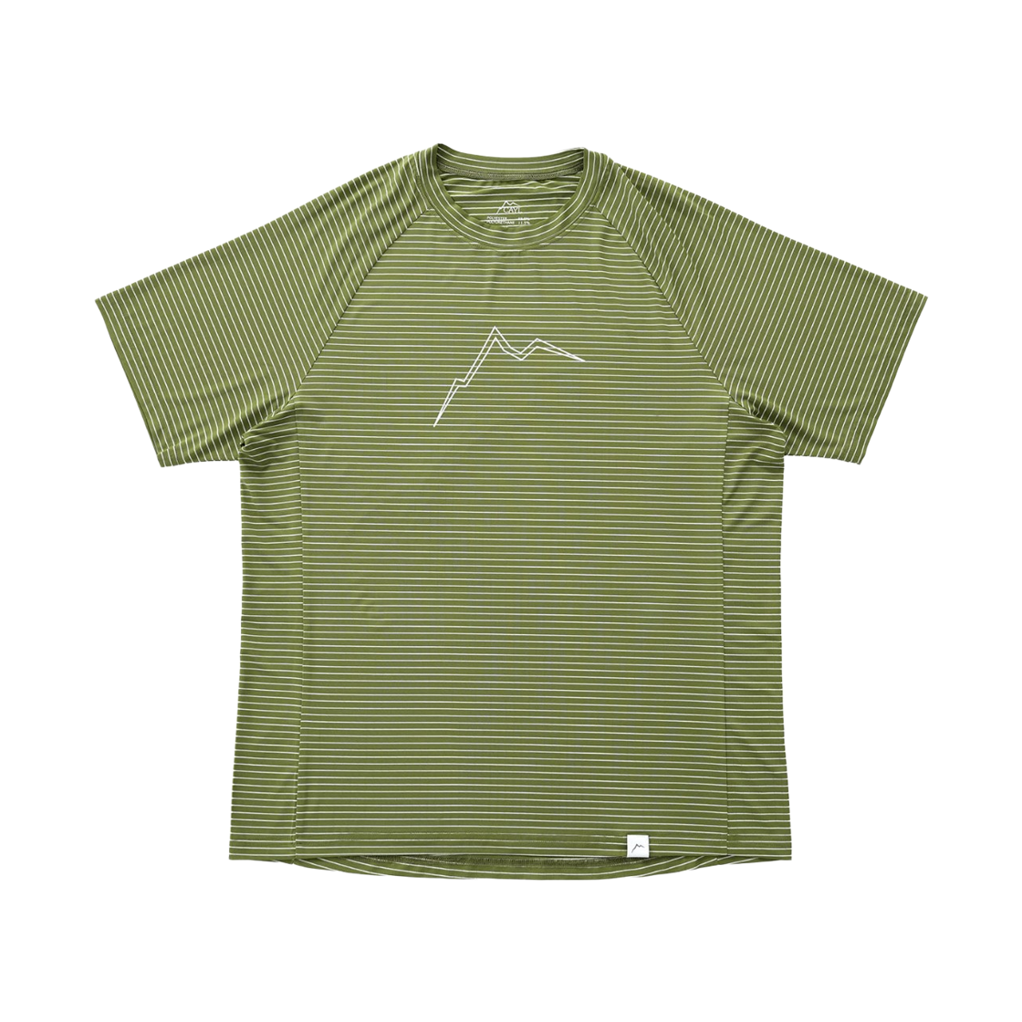 케일 스트라이프 빅 로고 숏슬리브 그린(Cayl Stripe Big Logo Short Sleeve Green)