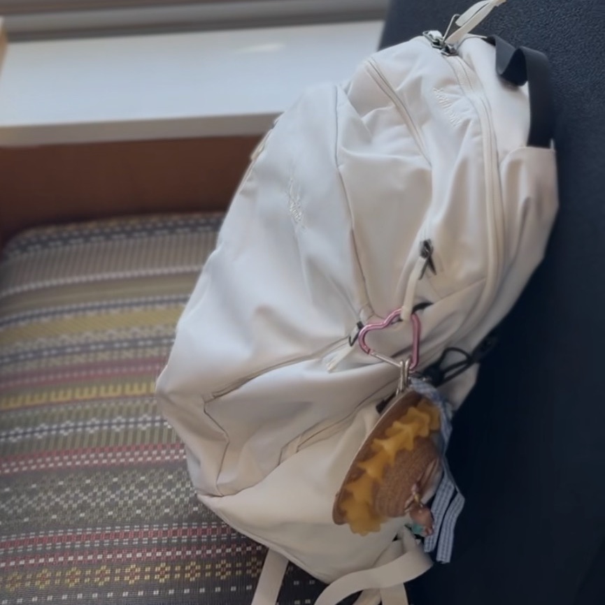 Arc'teryx Mantis 26 Backpack Arctic Silk 착용 스타일