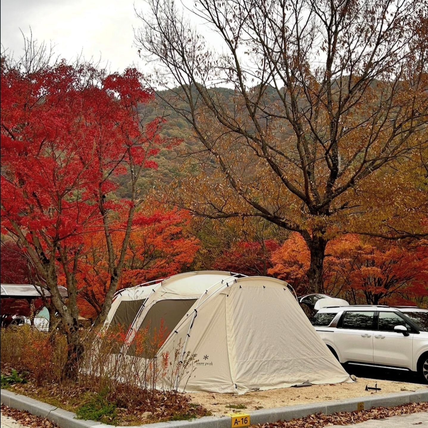Snow Peak Land Lock Ivory, Snow Peak Stantray 1 Unit 착용 스타일