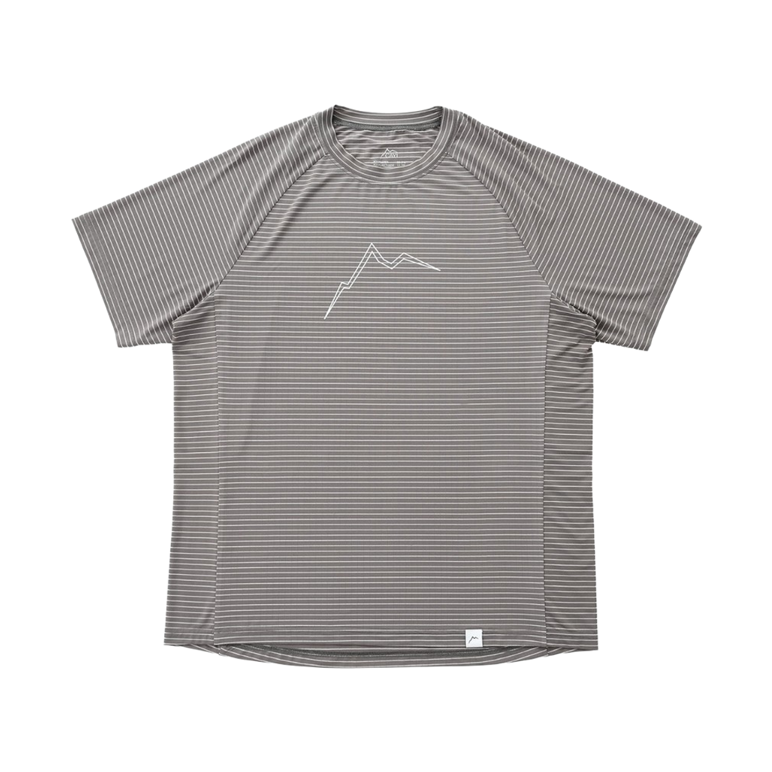 케일 스트라이프 빅 로고 숏슬리브 그레이(Cayl Stripe Big Logo Short Sleeve Grey)
