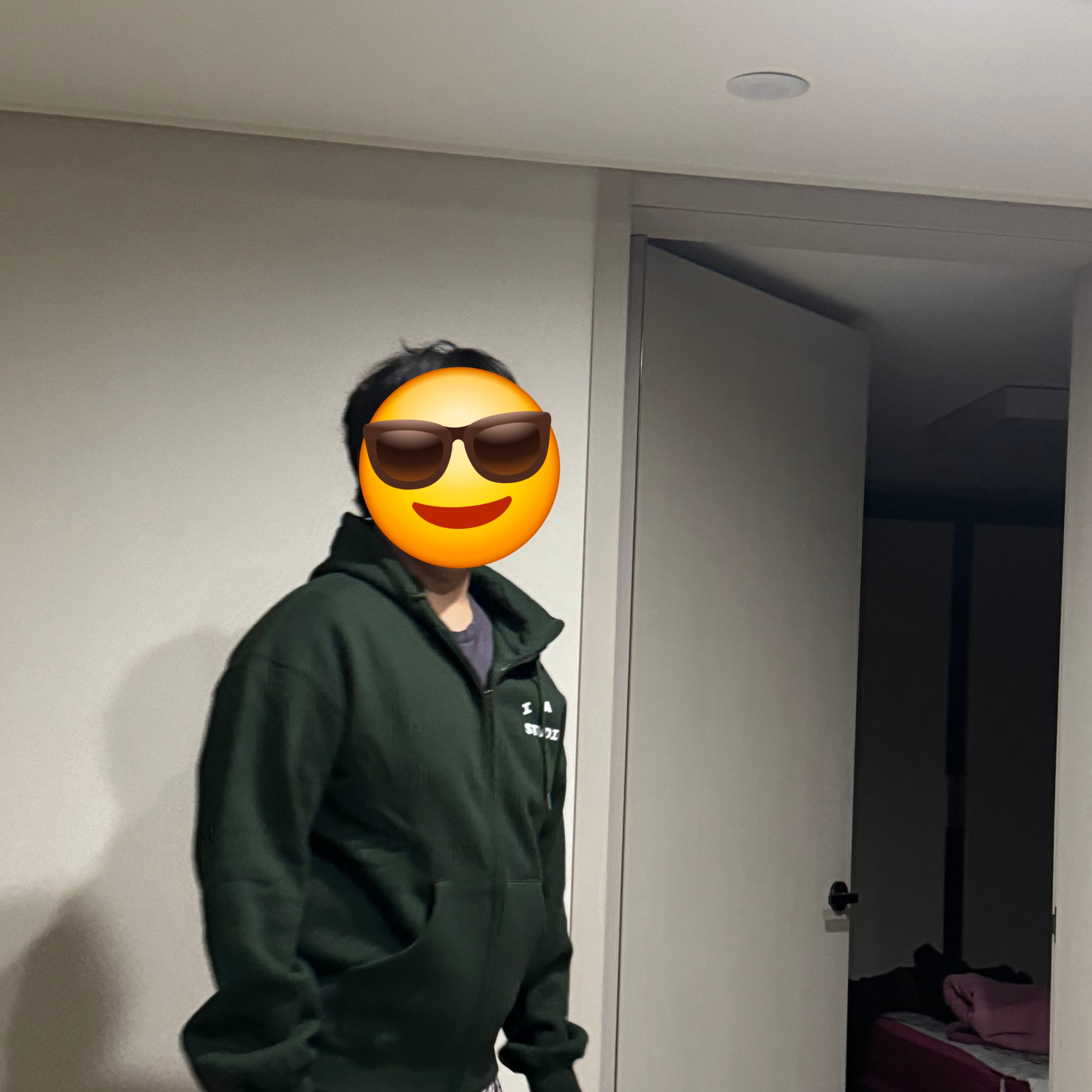 IAB Studio Zip-Up Hoodie Deep Green 2026 Ver. 착용 스타일