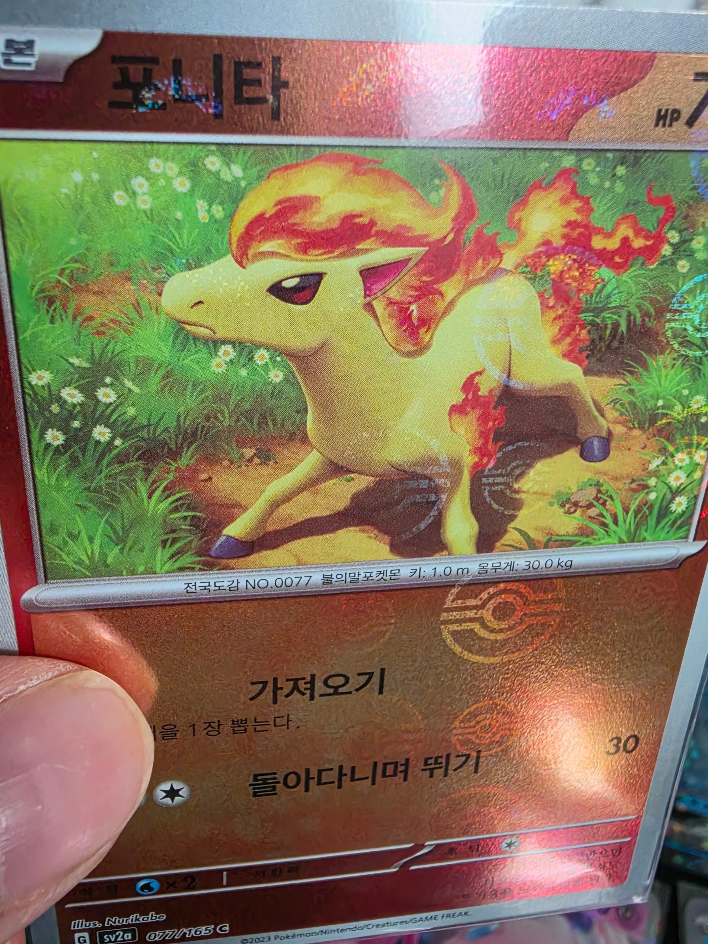 Pokemon TCG Scarlet & Violet Enhanced Expansion Pack Pokemon Card 151 Box (Pack of 20) 착용 스타일 - 6