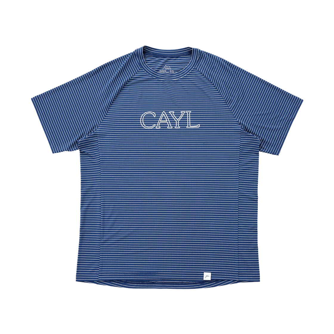 케일 스트라이프 폰트 숏슬리브 블루(Cayl Stripe Font Short Sleeve Blue)