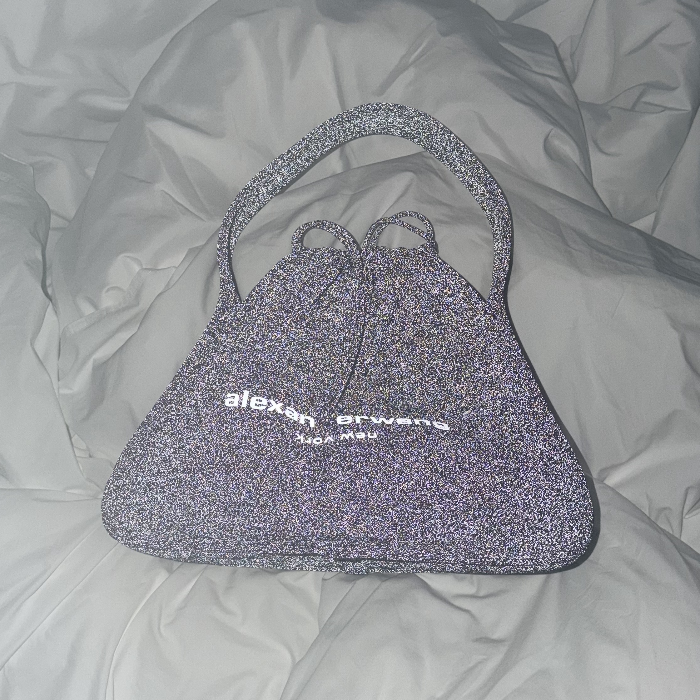 Alexander Wang Ryan Large Tote Bag Grey 착용 스타일 - 1