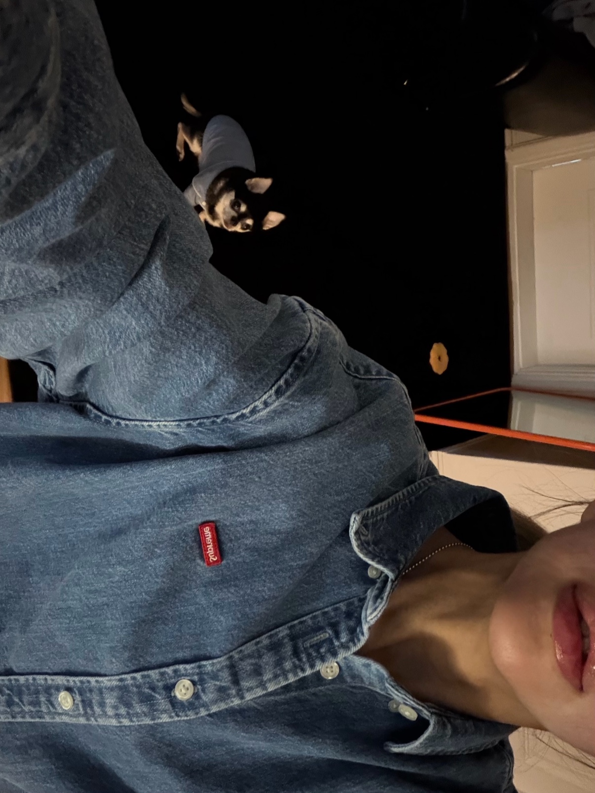Supreme Small Box Denim Shirt Washed Indigo - 25SS 착용 스타일