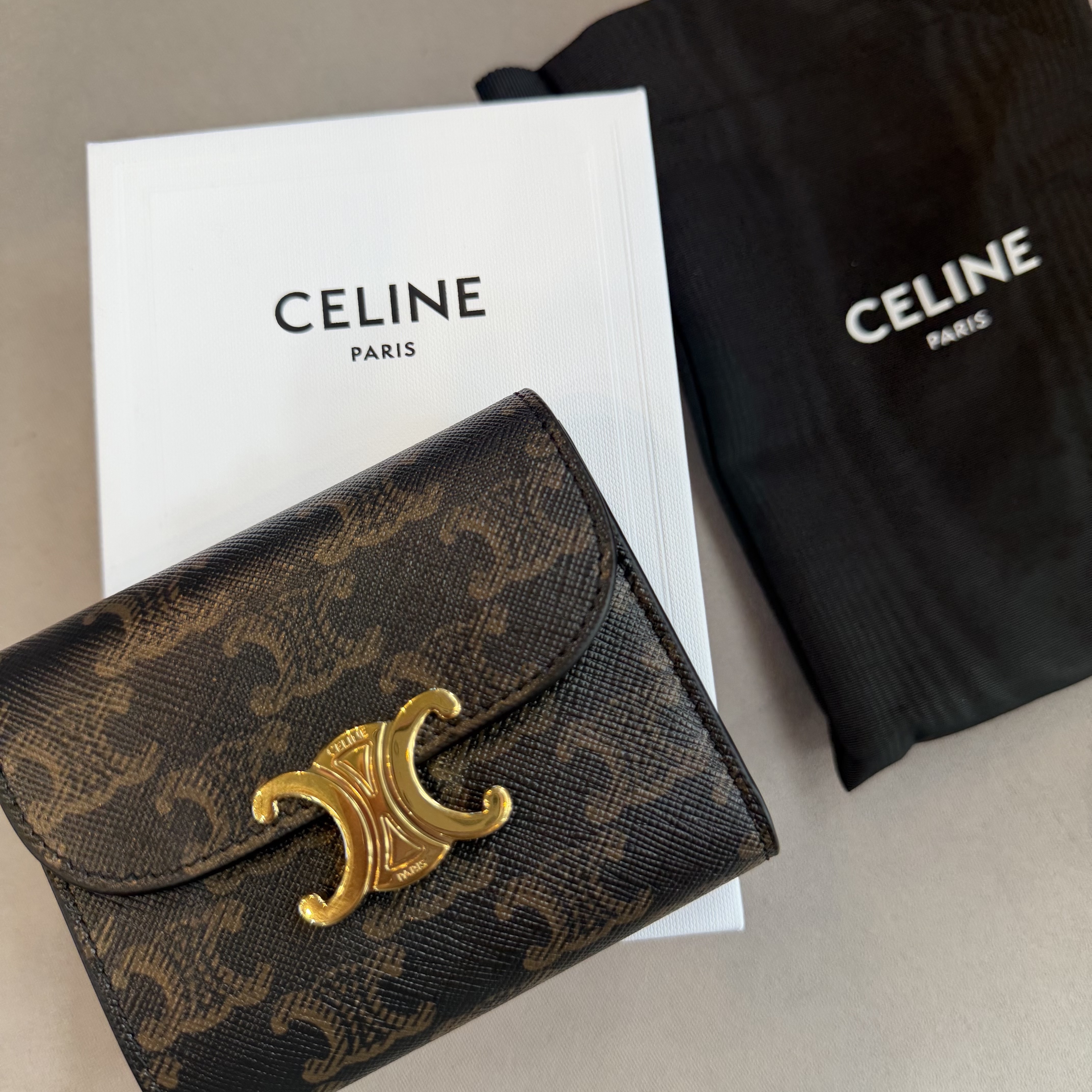 Celine Small Wallet Triomphe in Triomphe Canvas Tan 착용 스타일
