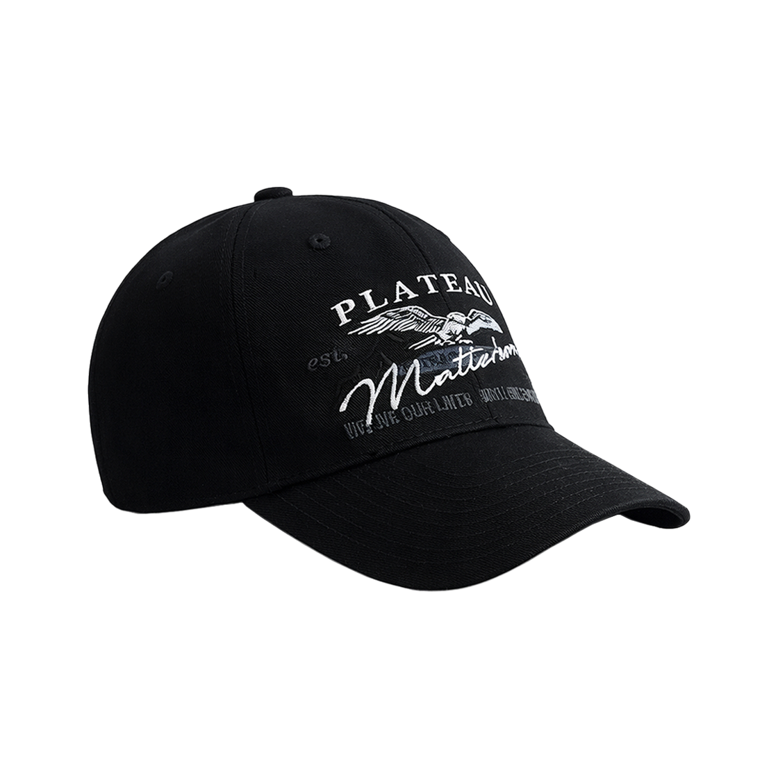플래토 빅사이즈 볼캡 매트 더블유에이치 블랙(PLATEAU Big Size XL Matt WH Cap Black)
