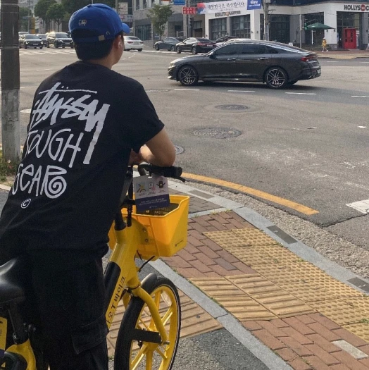 스타일 카드
