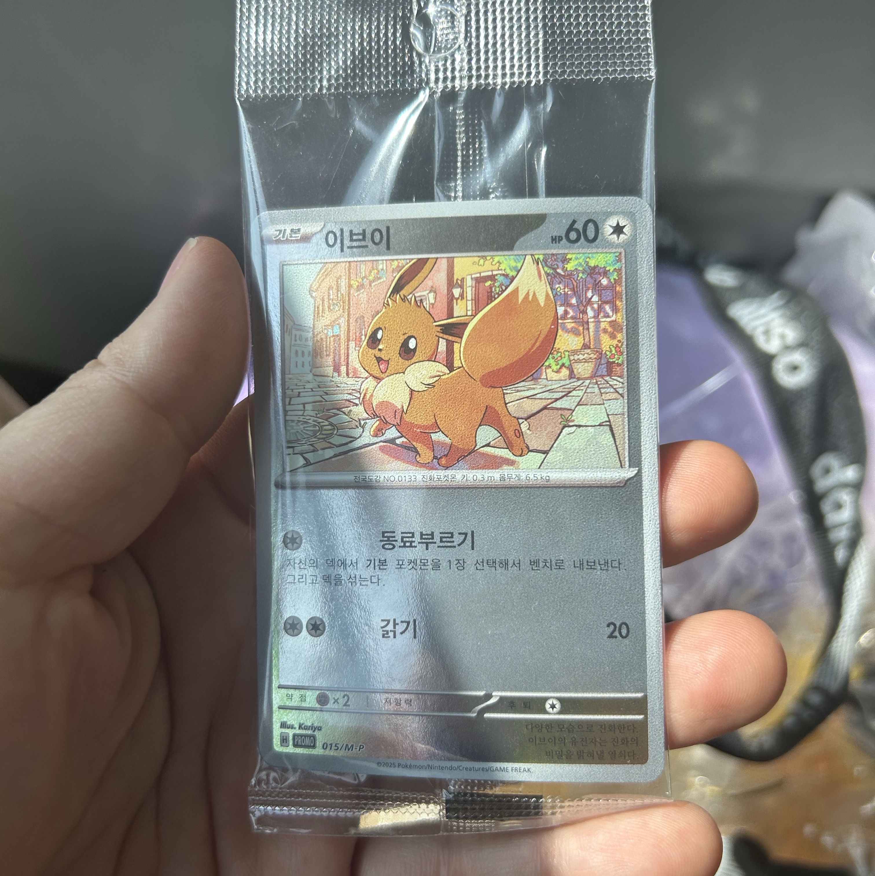Pokemon TCG Eevee 2026 Korean League Promo Card (Korean Ver.) 착용 스타일