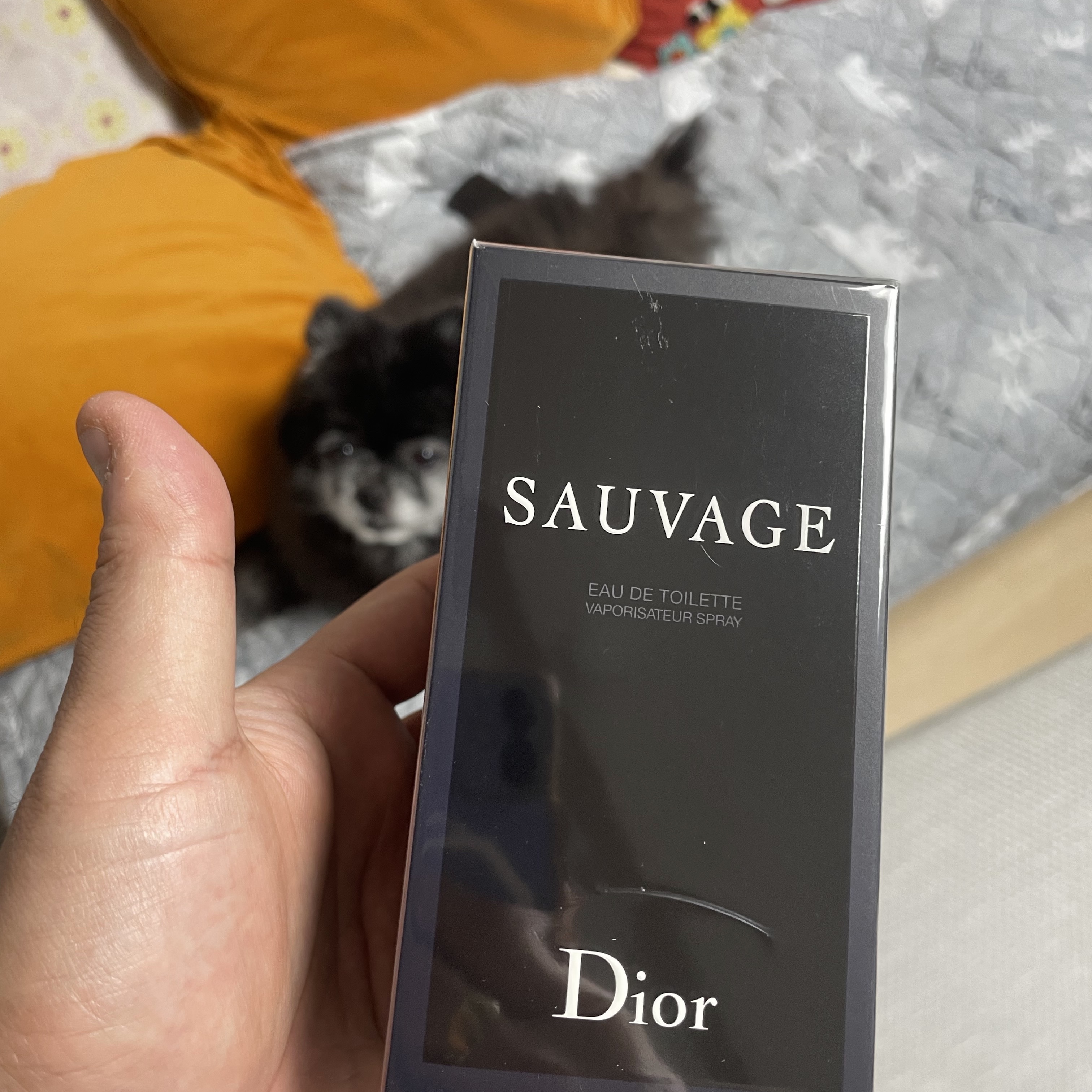 Dior Sauvage Eau De Toilette 100ml 착용 스타일