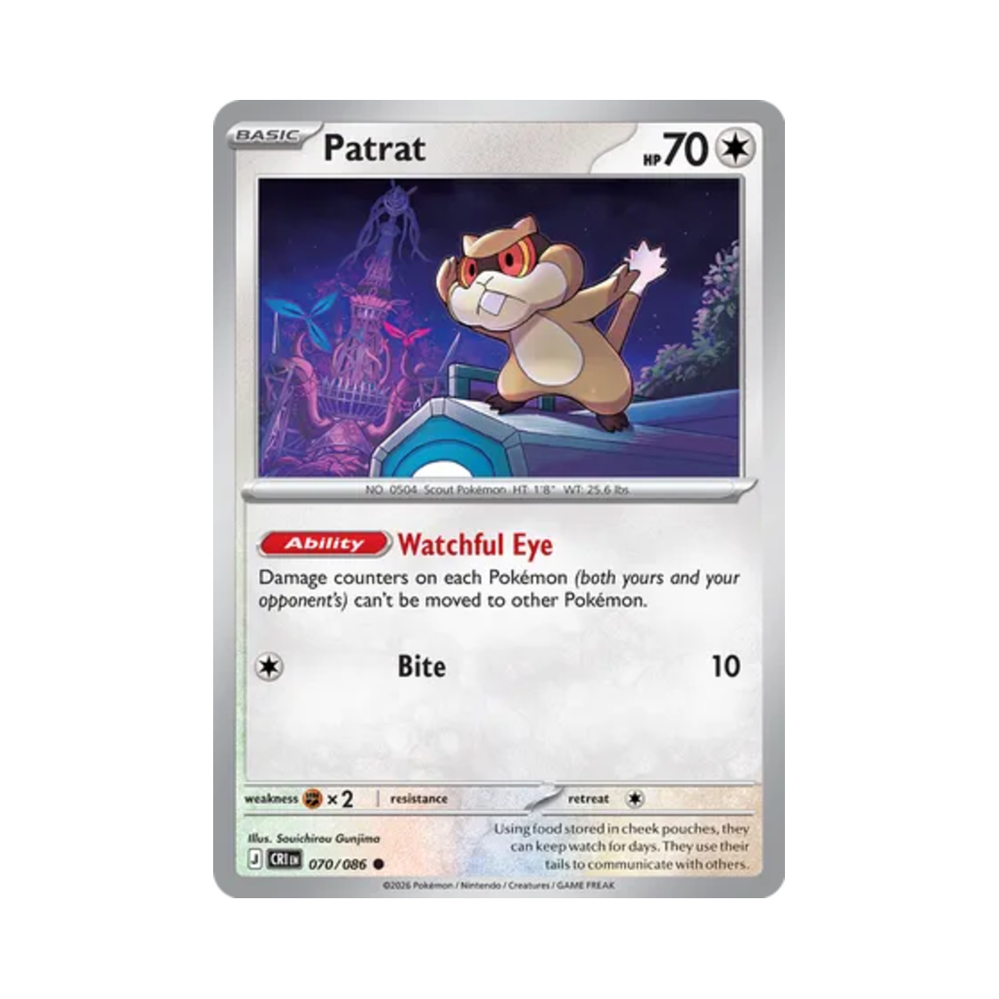 포켓몬 TCG 보르쥐 C 카오스 라이징 (영문판)(Pokemon TCG Patrat C Chaos Rising (English Ver.))