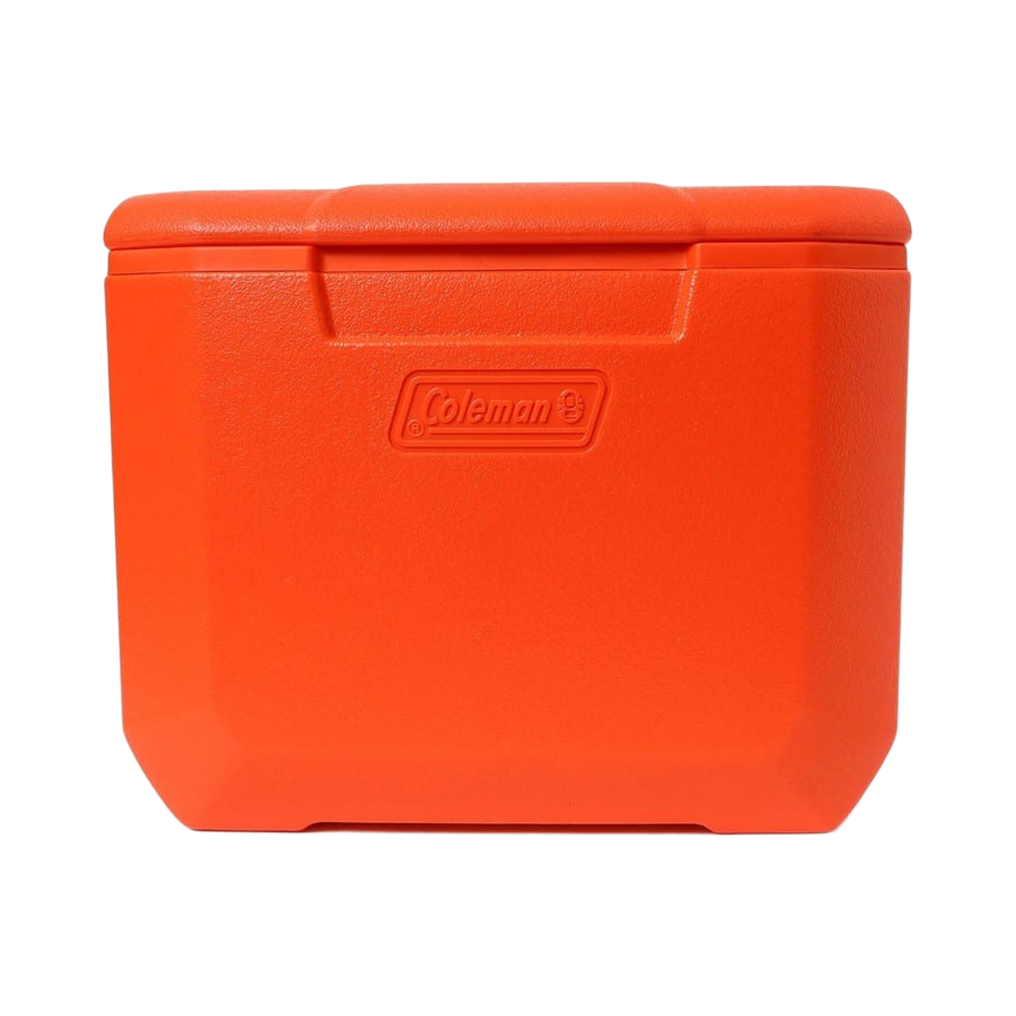 bPr 빔즈 x 콜맨 익스커션 쿨러 박스 16QT 크레이지(bPr Beams x Coleman Excursion Cooler Box 16QT Crazy)