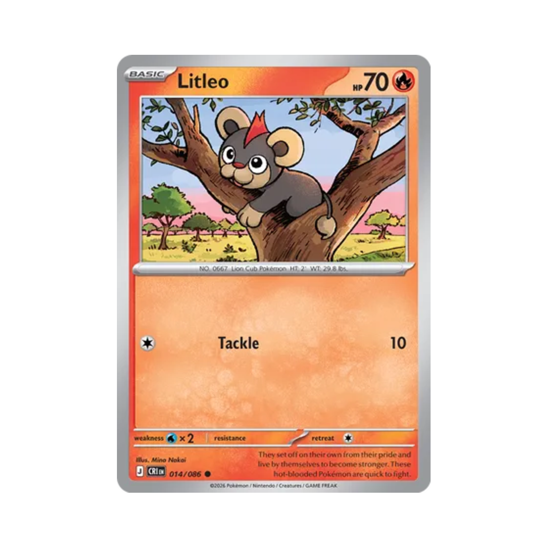 포켓몬 TCG 레오꼬 C 카오스 라이징 (영문판)(Pokemon TCG Litleo C Chaos Rising (English Ver.)) - 1