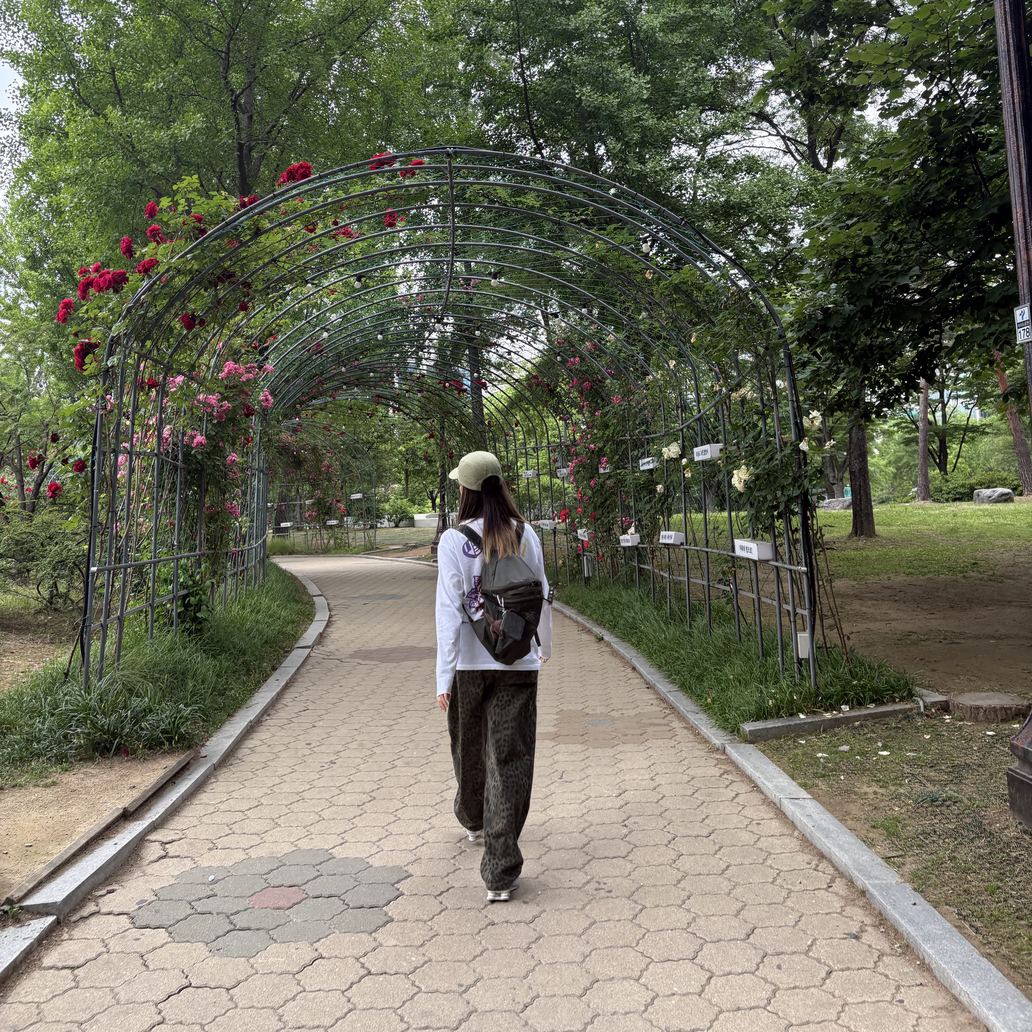 Arc'teryx Heliad 15 Backpack Tatsu, Supreme Washed Chino Twill Camp Cap Light Olive - 24SS 착용 스타일 - 1