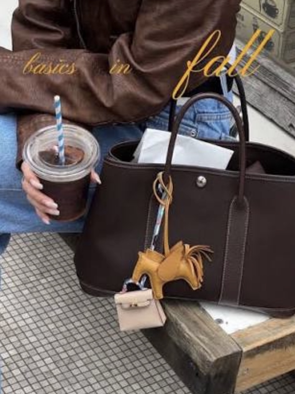 Hermes Garden Party 30 Bag Canvas Negonda & Palladium Bai Brun 착용 스타일