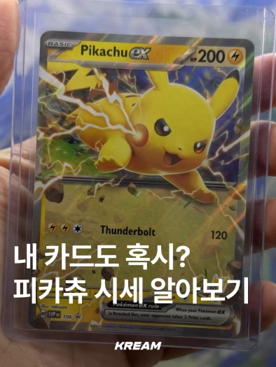 스타일 카드