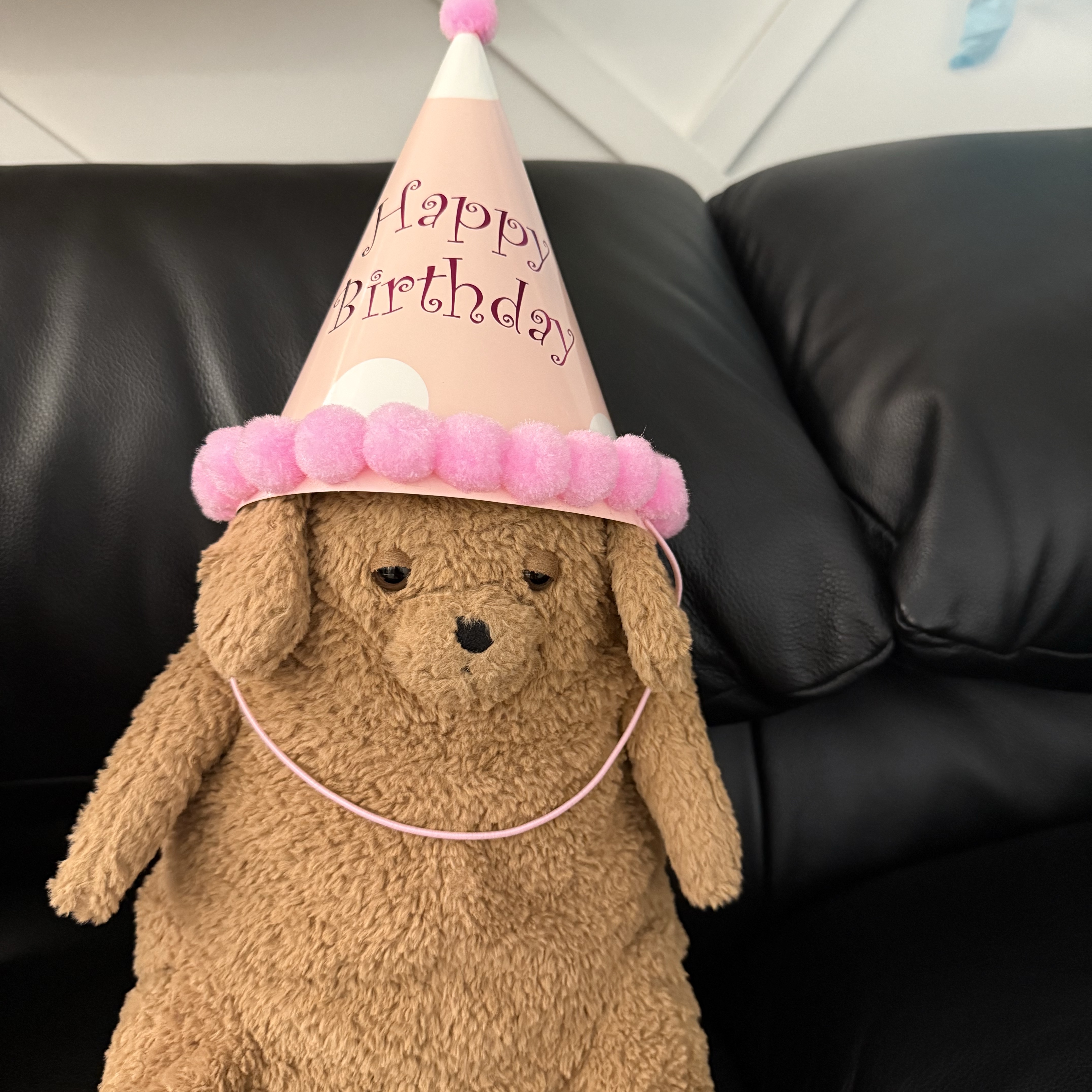 Jellycat Amore Dog Brown 착용 스타일
