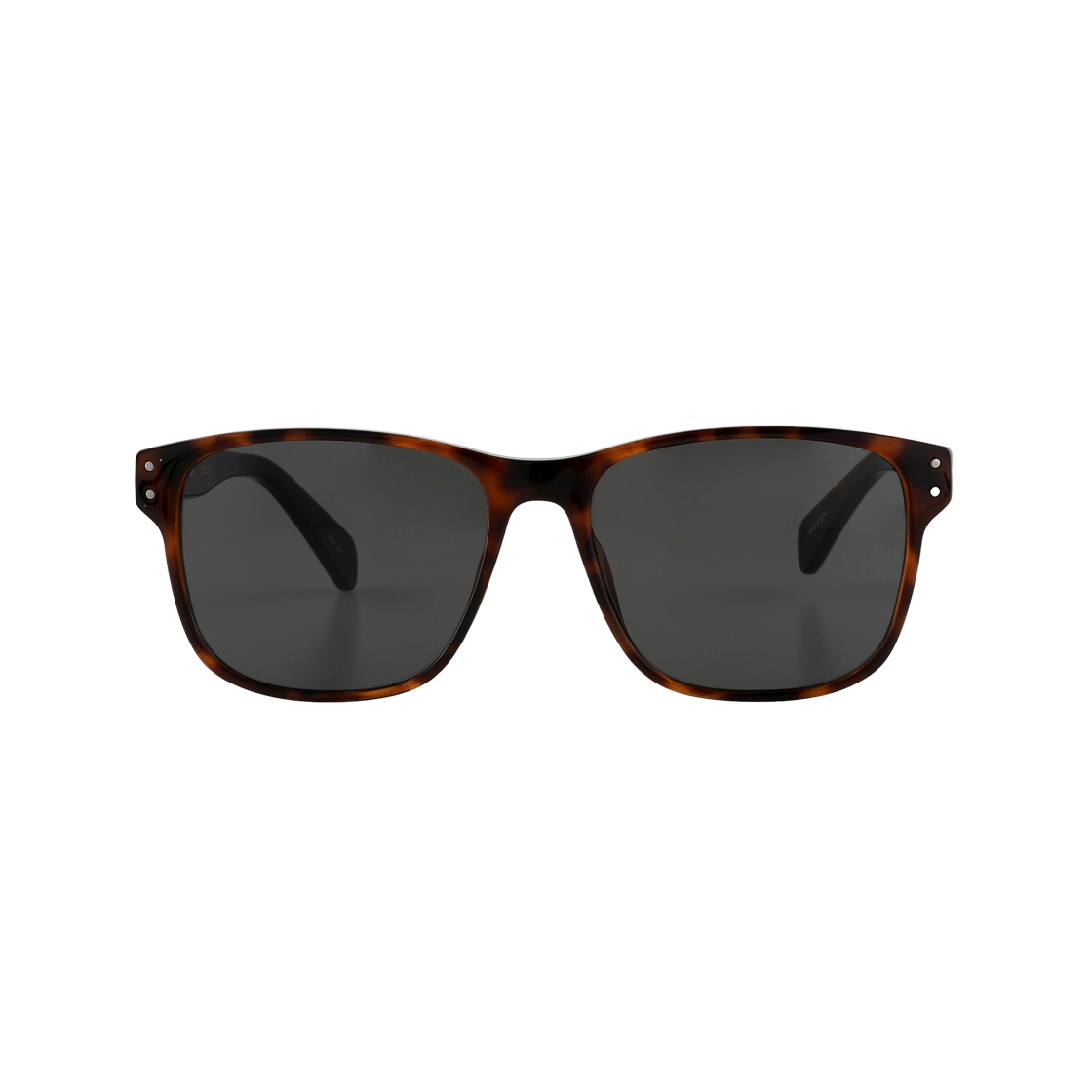 RINO C3 레오파드 2DITOR Oversize Square Travel Fashion uv400 Horn-rimmed Sunglasses C3 Leopard