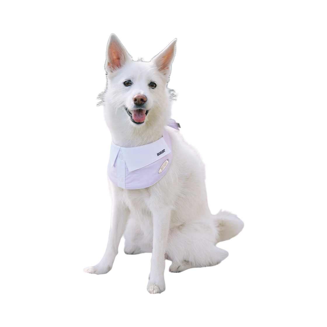 비에스래빗 펫 넥 카라 스트라이프 핑크(Bsrabbit Pet Neck Collar Pink) - 1