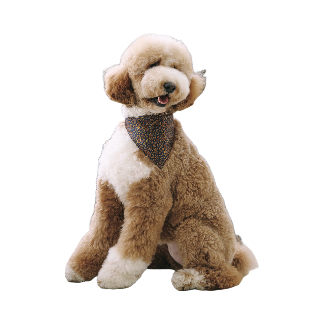 비에스래빗 펫 넥 스카프 빈티지(Bsrabbit Pet Neck Scarf Vintage)