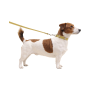 Bsrabbit Signature Rivet Vegan Leather Dog Leash Olive