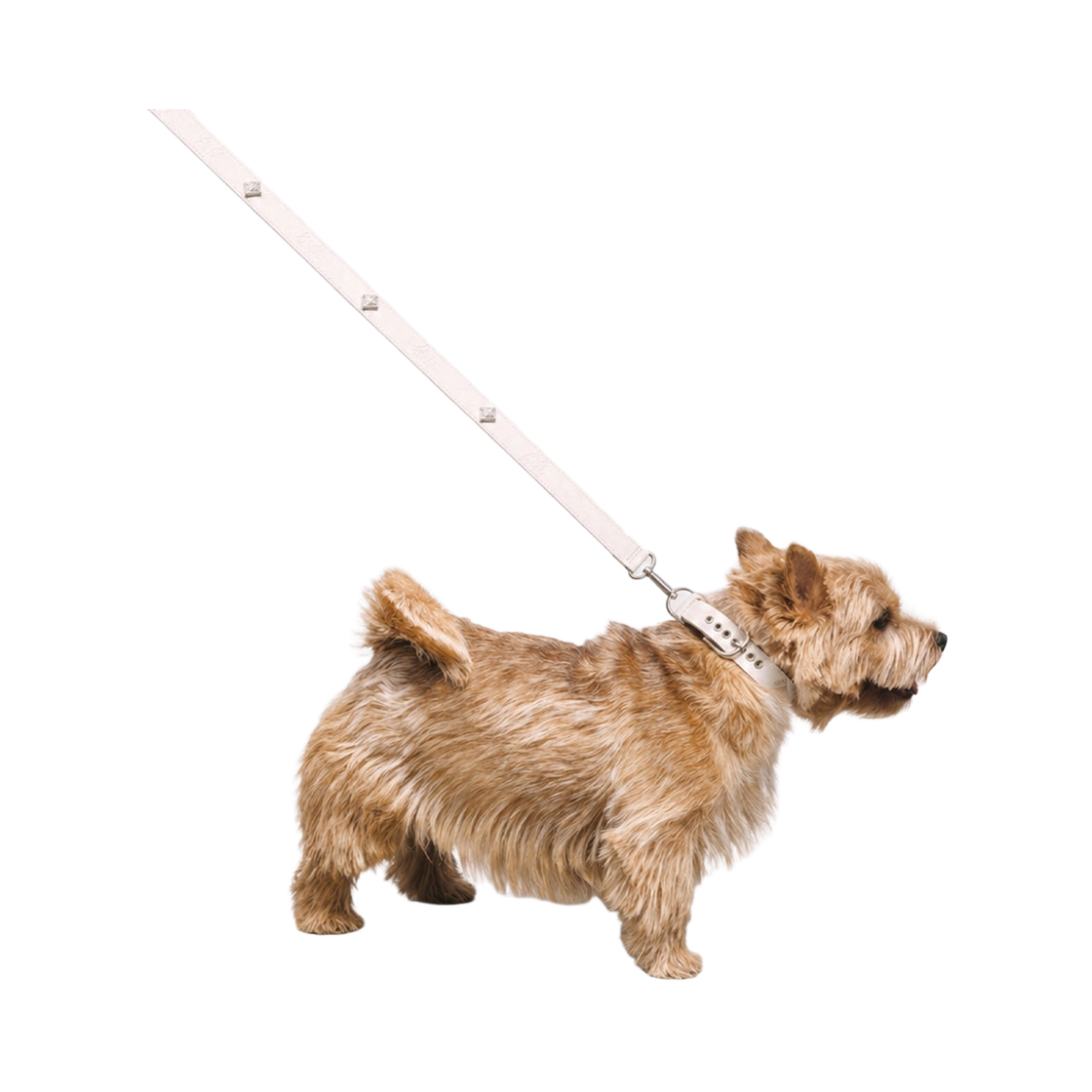비에스래빗 시그너쳐 리벳 비건 레더 독 리쉬 화이트(Bsrabbit Signature Rivet Vegan Leather Dog Leash White) - 1