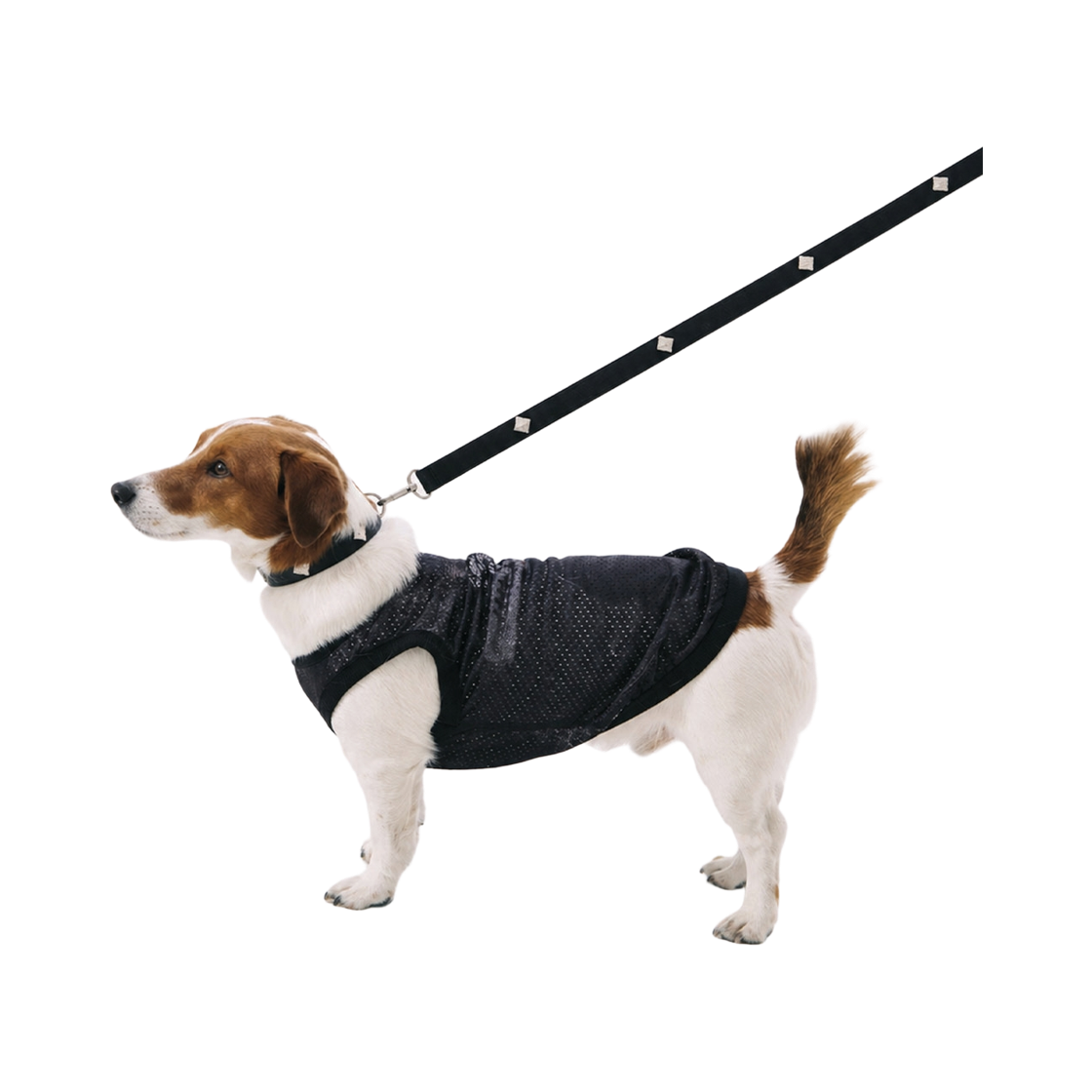 비에스래빗 시그너쳐 리벳 비건 레더 독 리쉬 블랙(Bsrabbit Signature Rivet Vegan Leather Dog Leash Black)