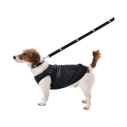 Bsrabbit Signature Rivet Vegan Leather Dog Leash Black