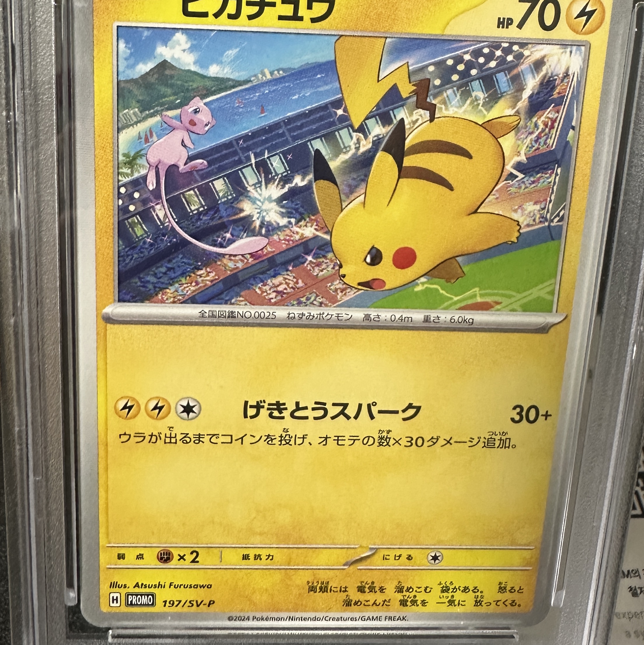 Pokemon TCG Pikachu P Scarlet & Violet Promos (Japanese Ver.) 착용 스타일