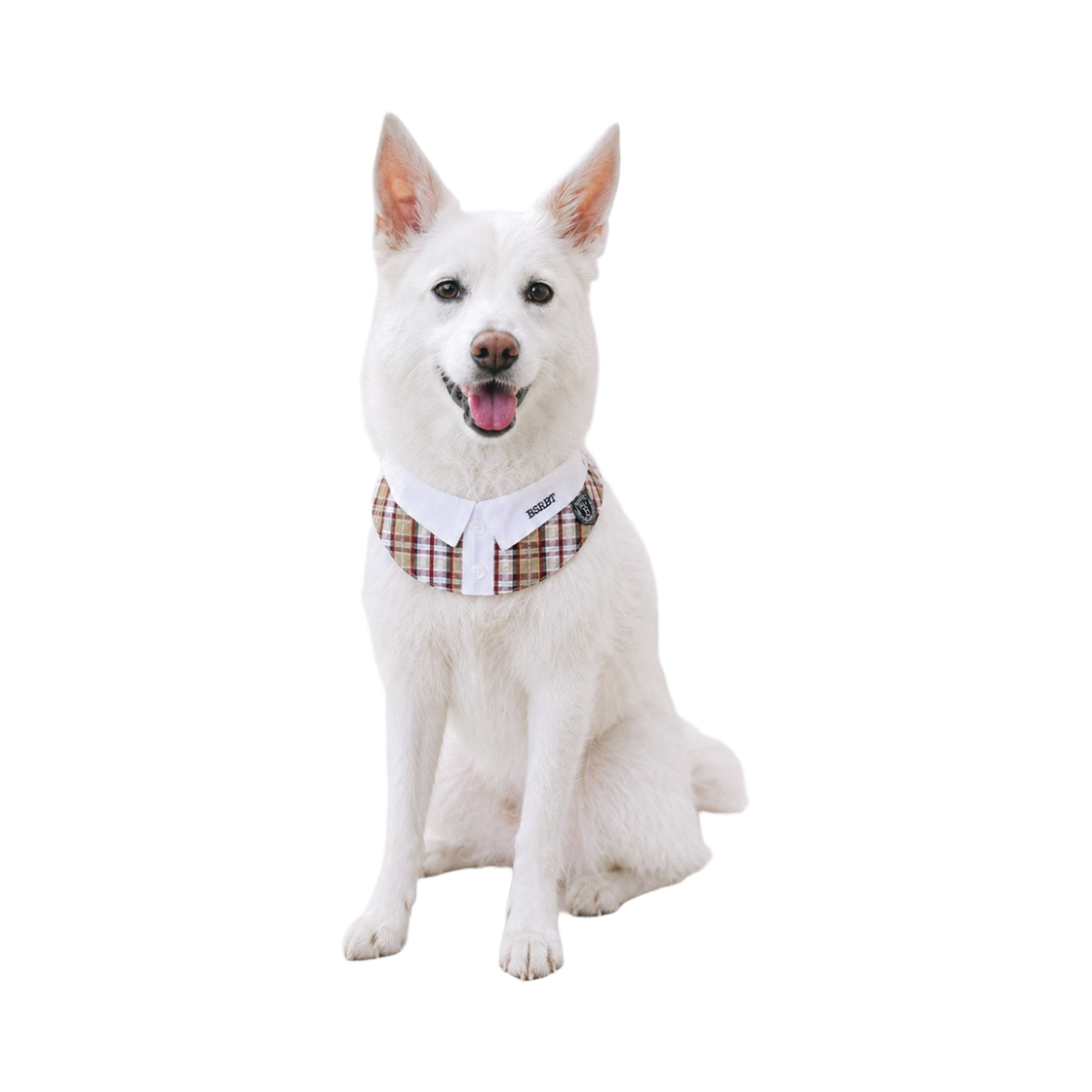 비에스래빗 펫 넥 카라 체크 브라운(Bsrabbit Pet Neck Collar Check Brown)