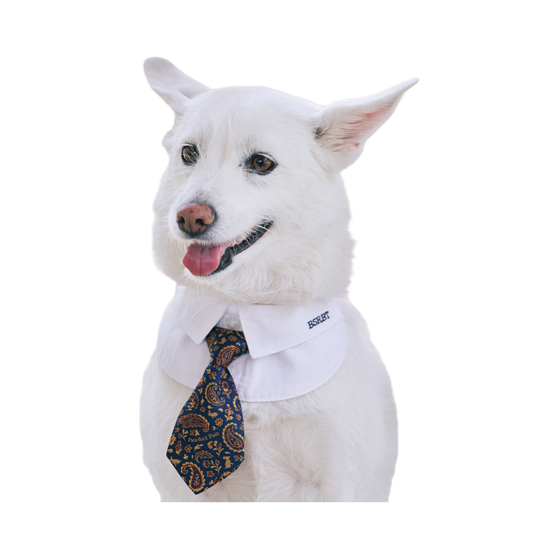 비에스래빗 펫 숏 타이 빈티지(Bsrabbit Pet Short Tie Vintage) - 1