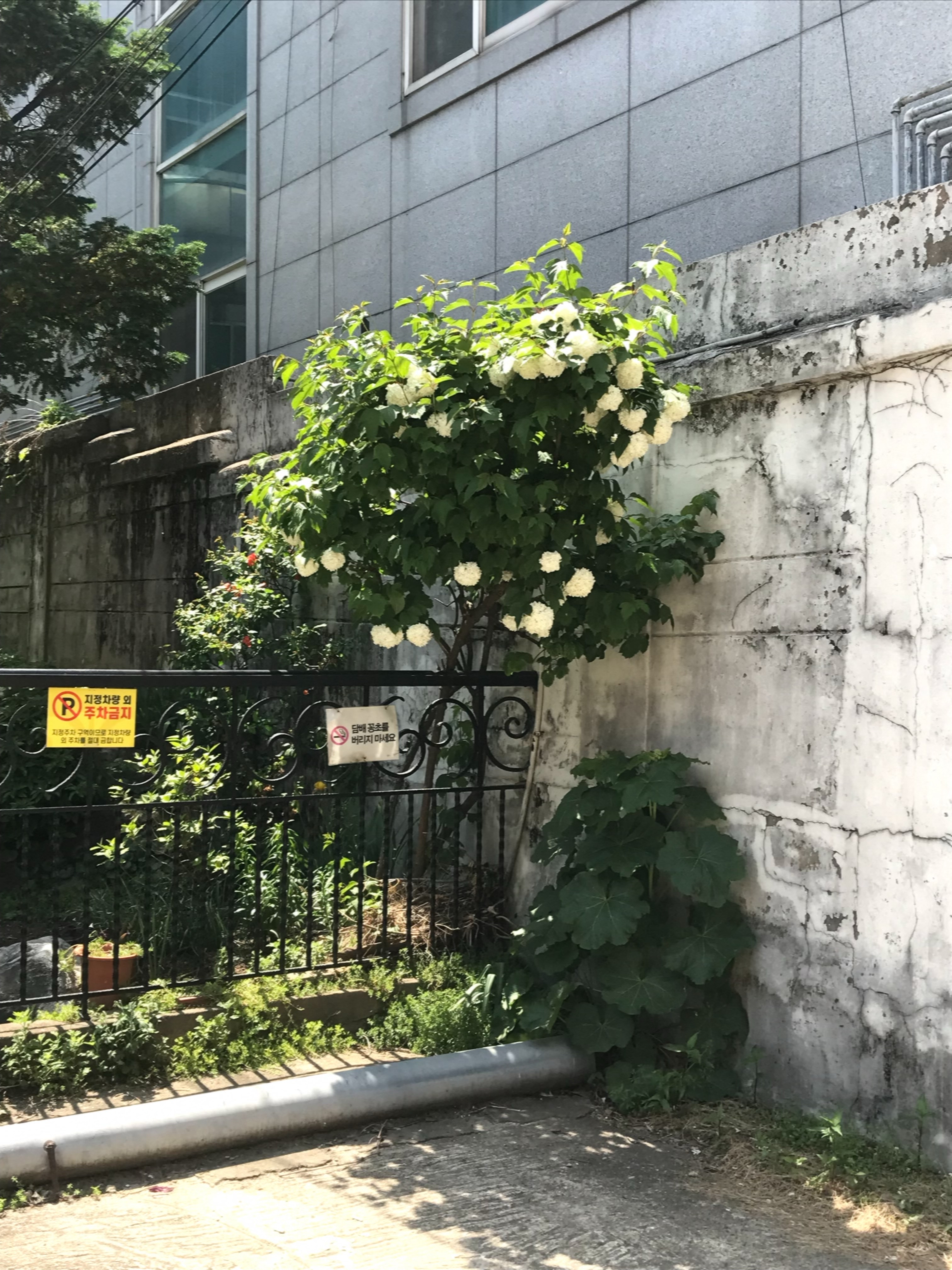 타코님의 스타일 - 4