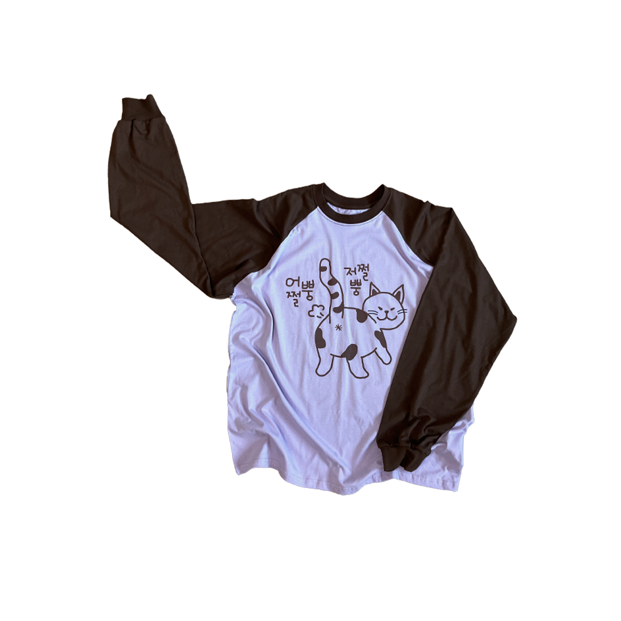카포 똥꼬나그랑 티셔츠(CAPO fart raglan T-shirts)
