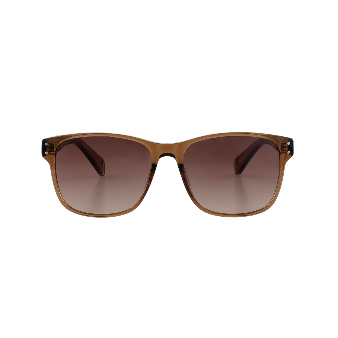 RINO C4 브라운 2DITOR Oversize Square Travel Fashion uv400 Horn-rimmed Sunglasses C4 Brown