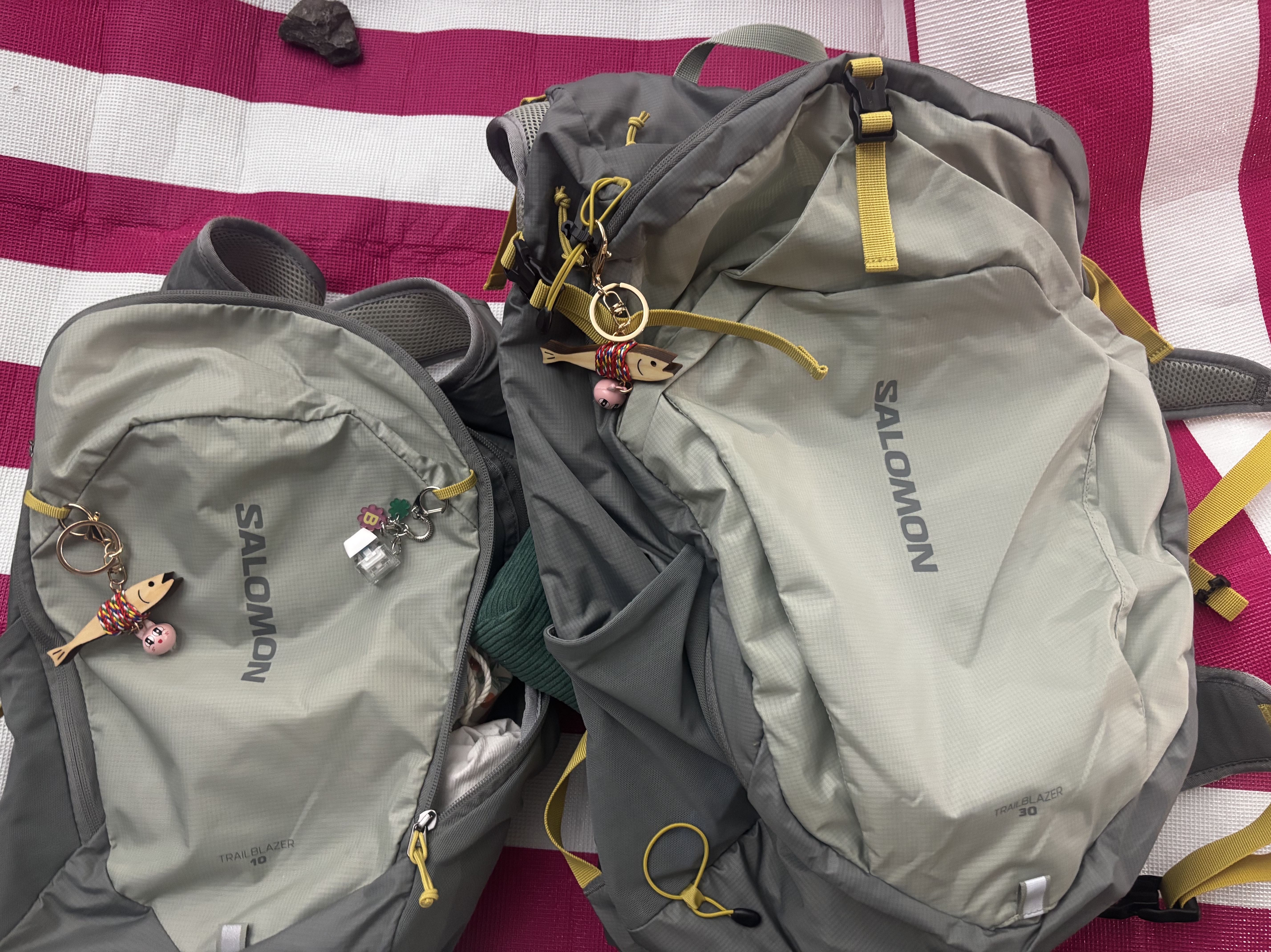 Salomon Trailblazer 30 Grey Khaki 착용 스타일