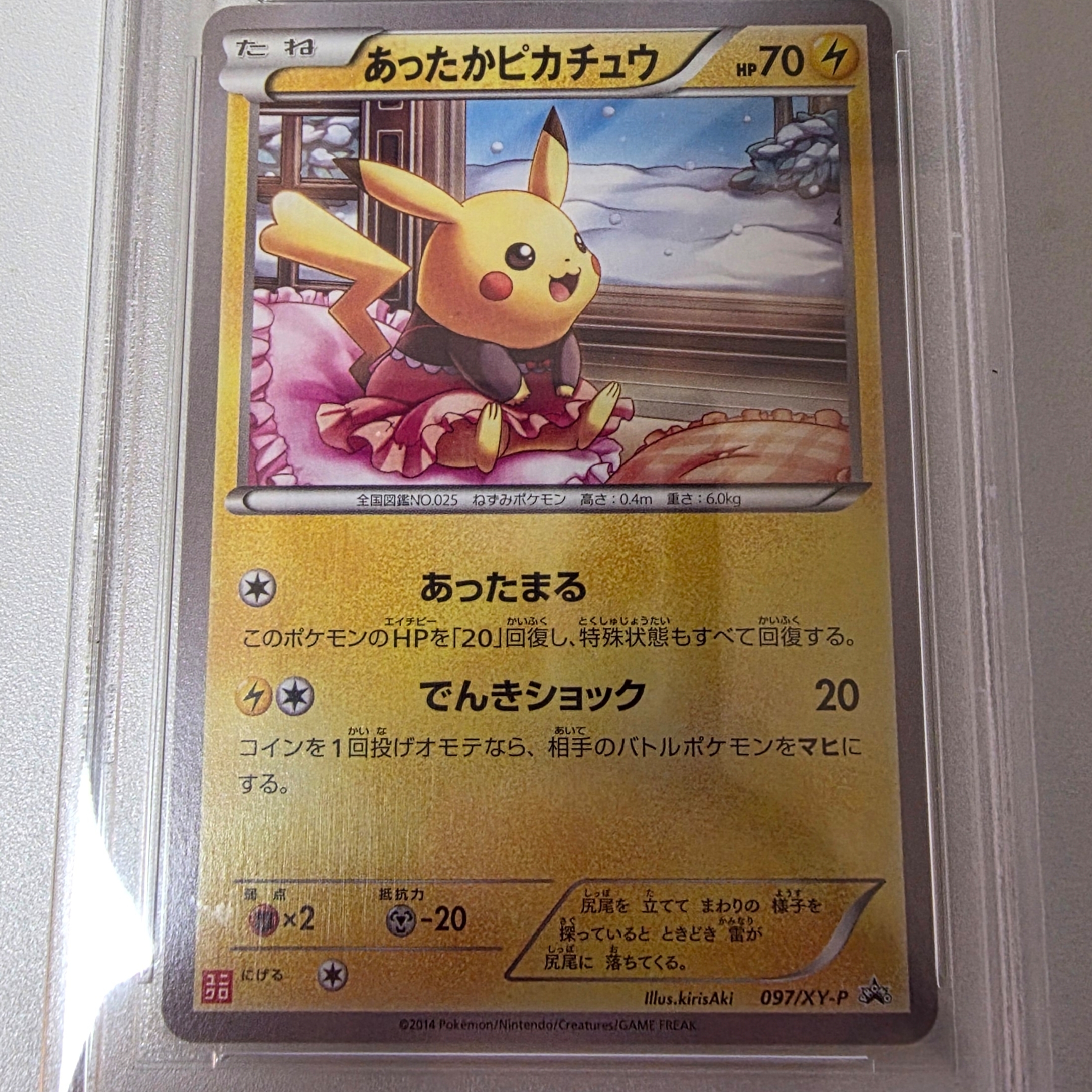 Pokemon TCG Warm Pikachu P XY Promos (Japanese Ver.) 착용 스타일